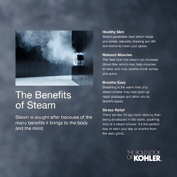 Invigoration™ Series 9kW Steam Generator