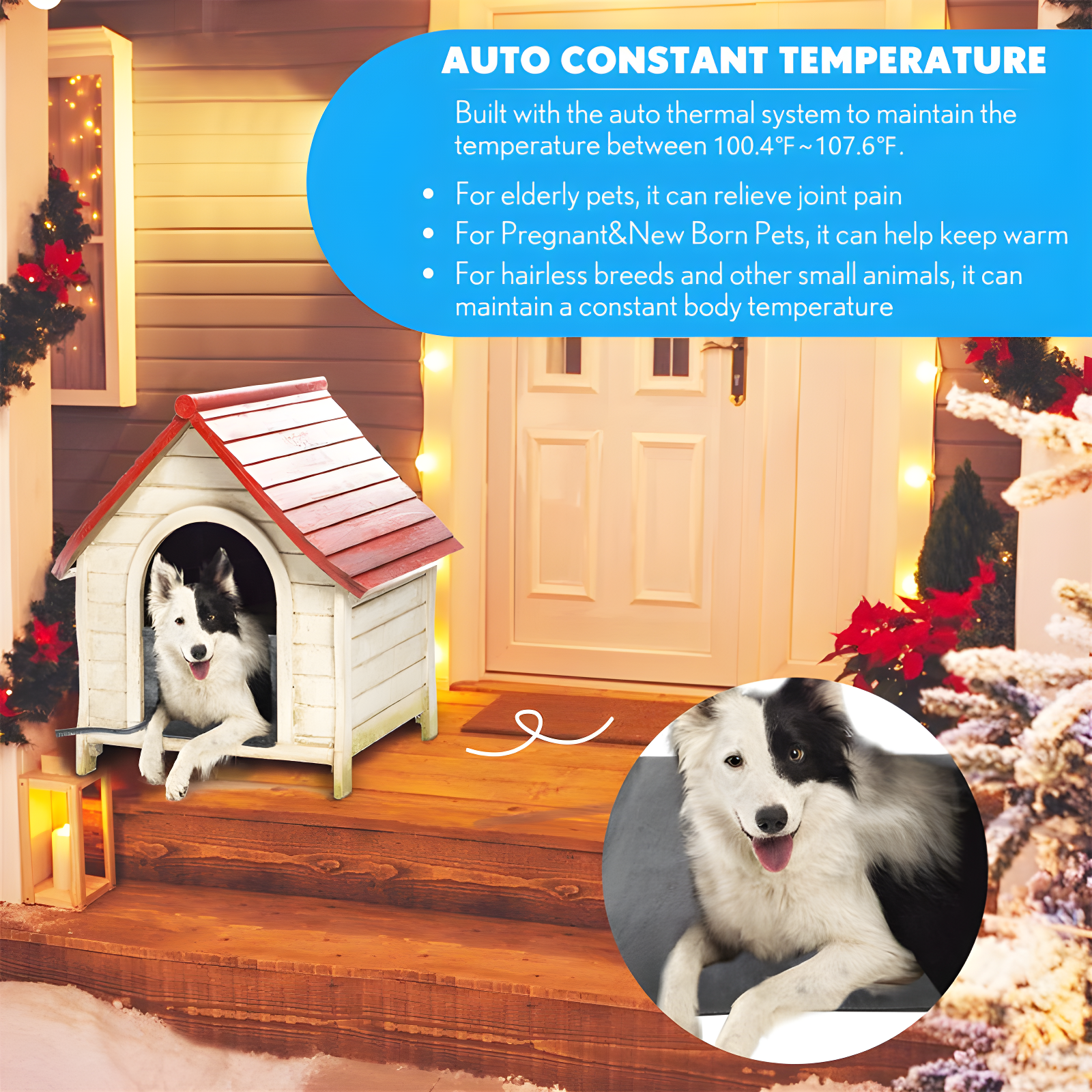 Velvet Pet Bed Accessory