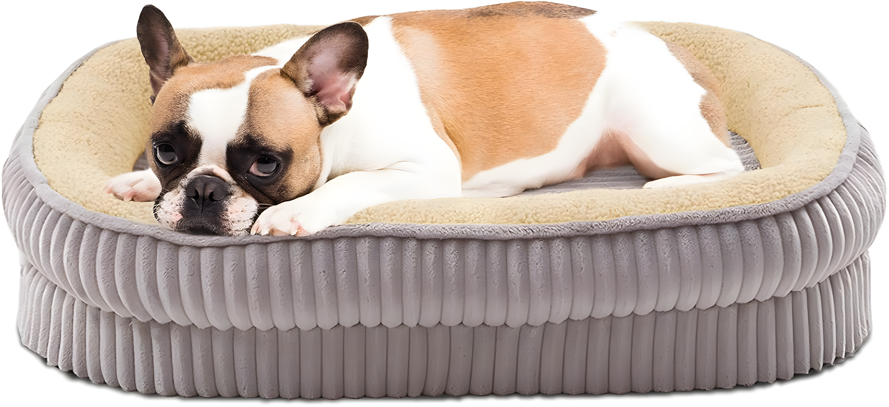 Dog Bed for Puppy, Oval Cat Beds, Pet Couch Bed with Four Sided Bolster