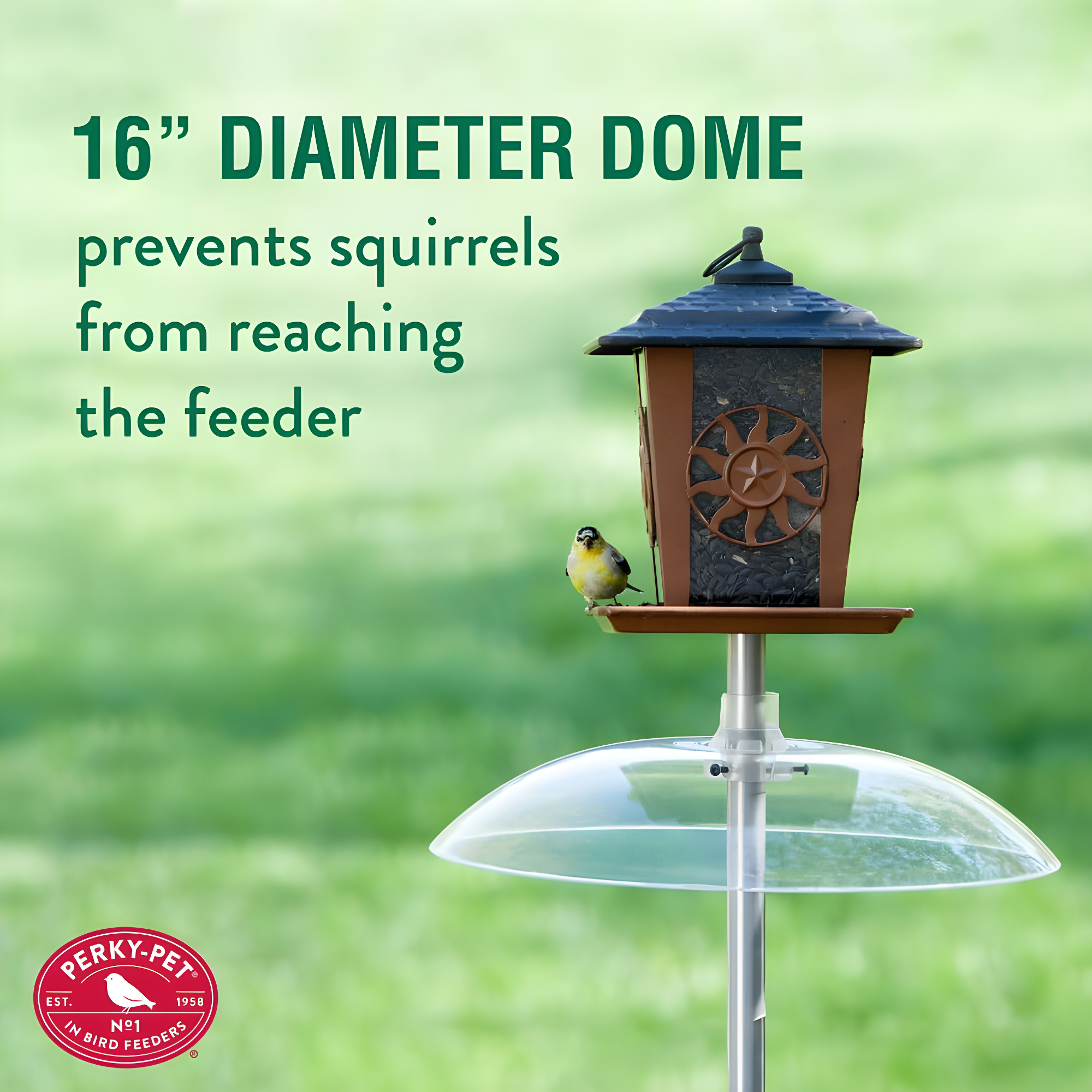 Plastic Squirrel Guard