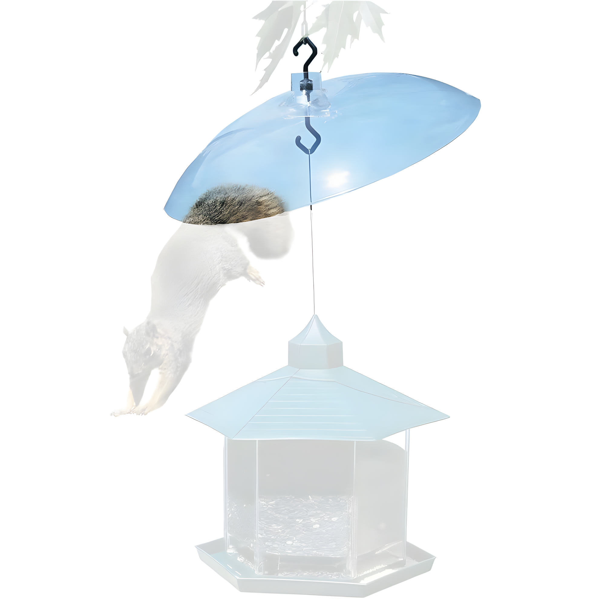Plastic Squirrel Guard
