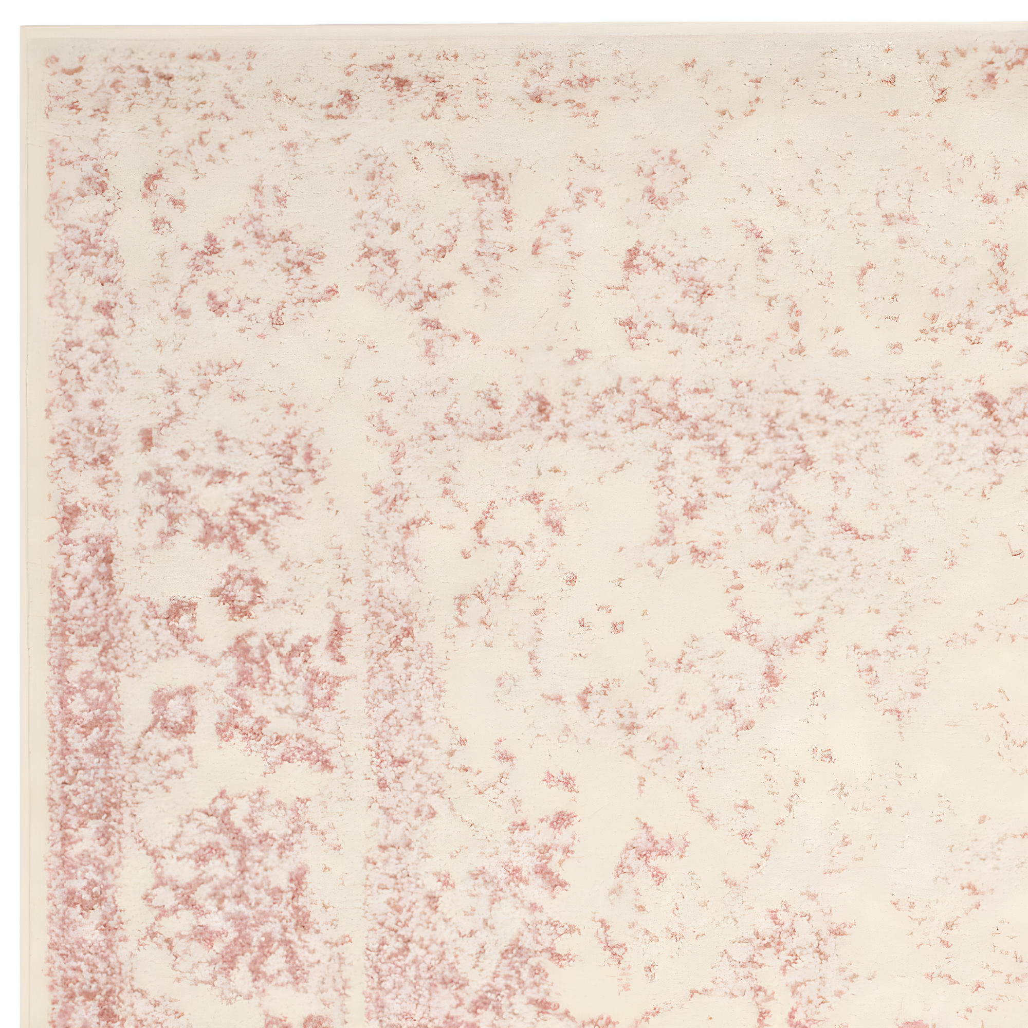 Adirondack ADR109 Machine Made Indoor Area Rug - Ivory/Rose - 6'x9' - Safavieh