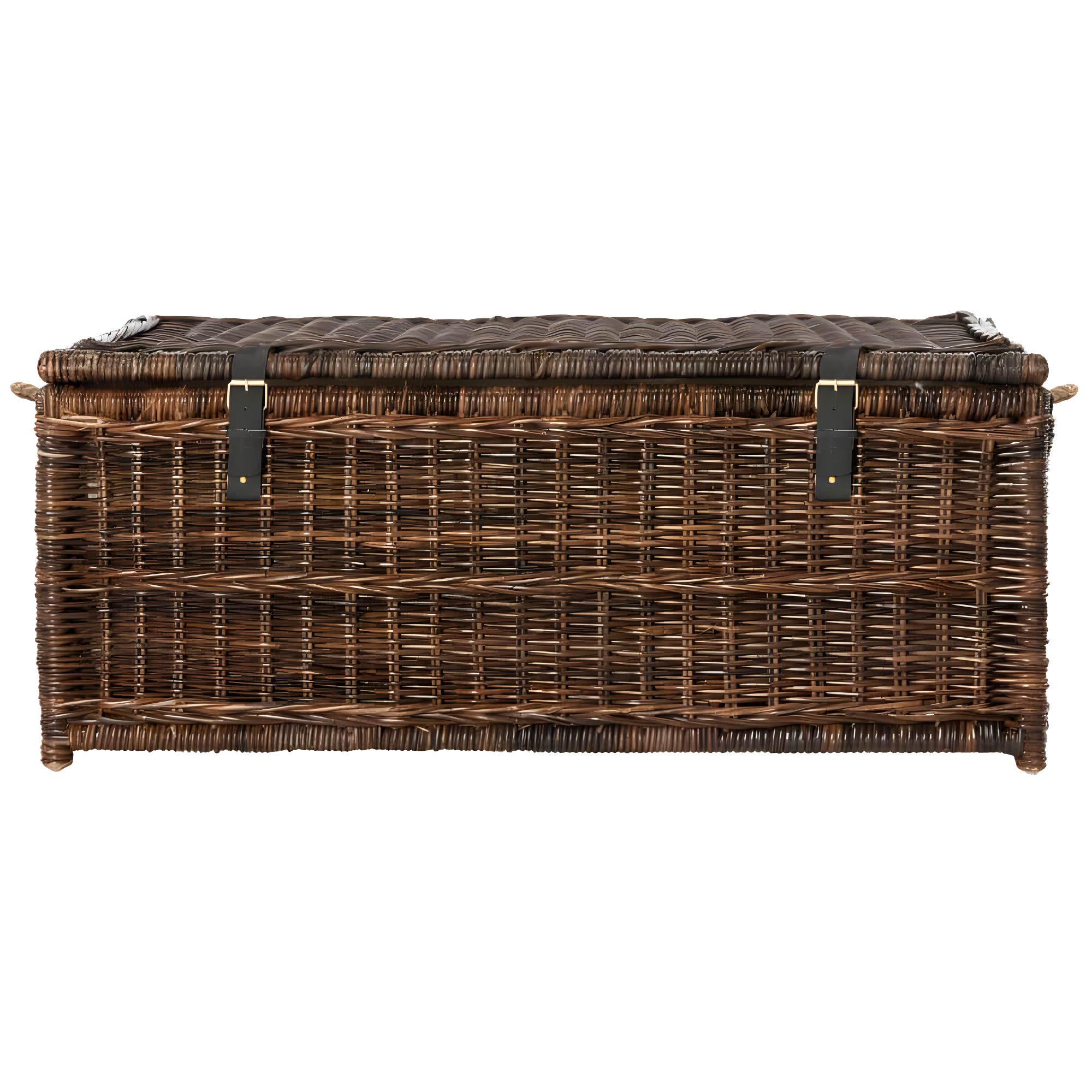 happimess Caden 46" Wicker Storage Trunk