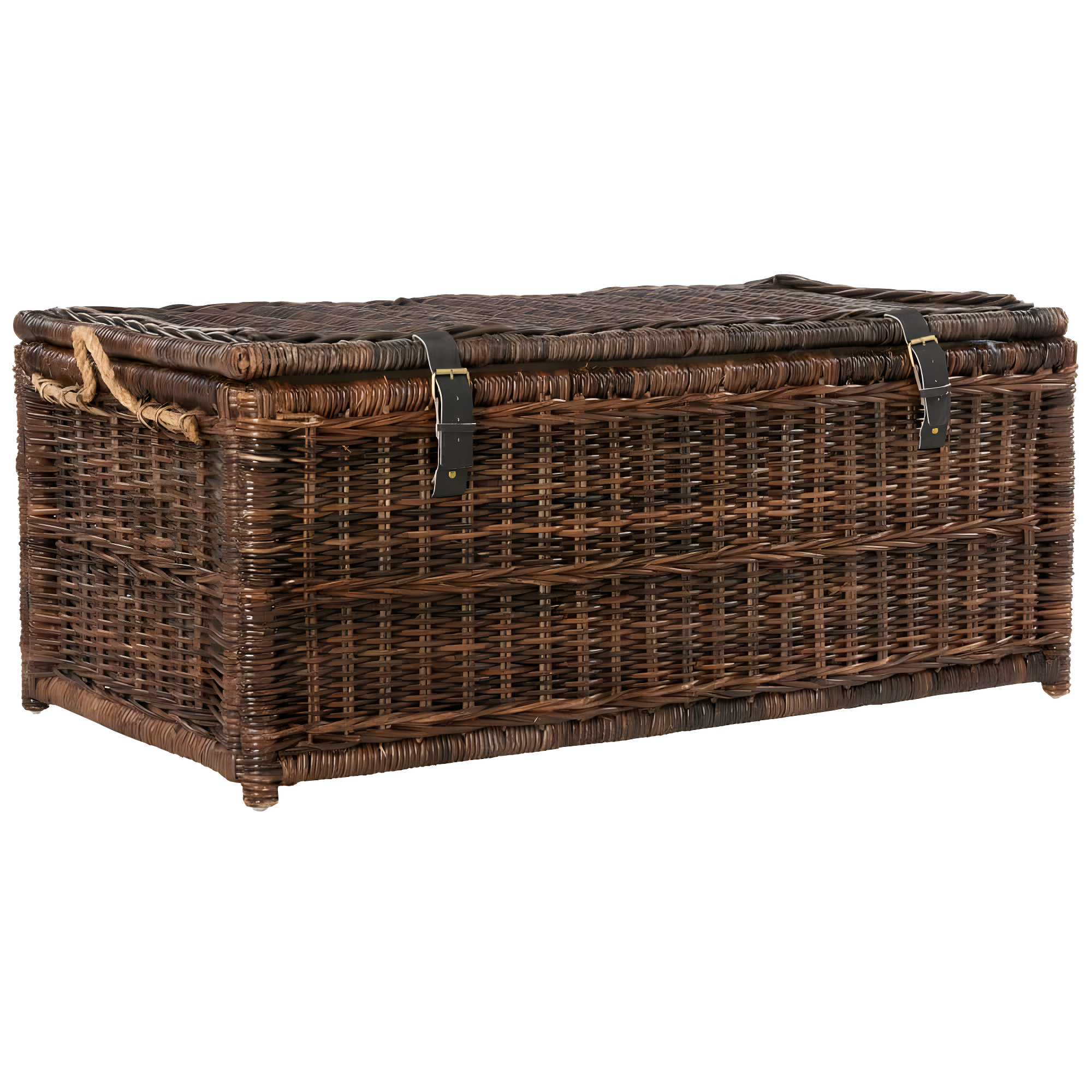 happimess Caden 46" Wicker Storage Trunk