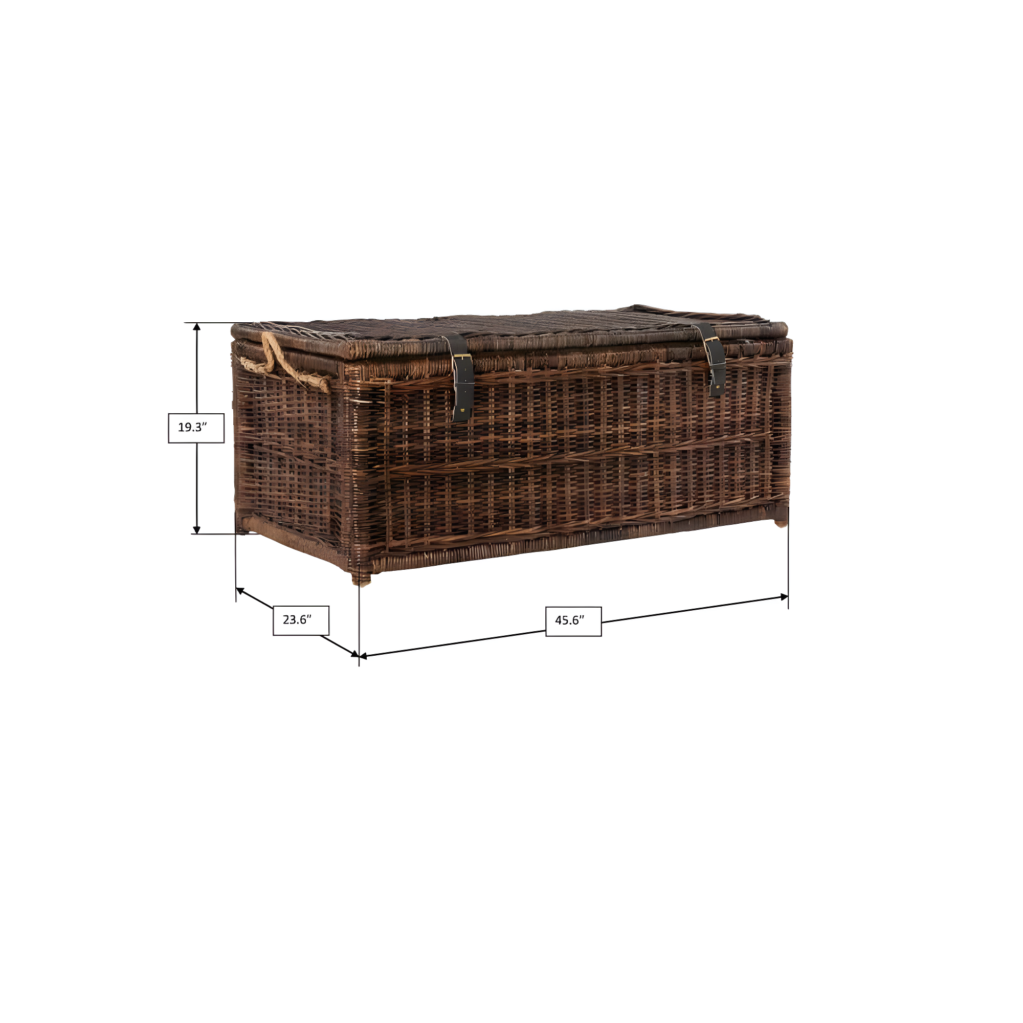 happimess Caden 46" Wicker Storage Trunk