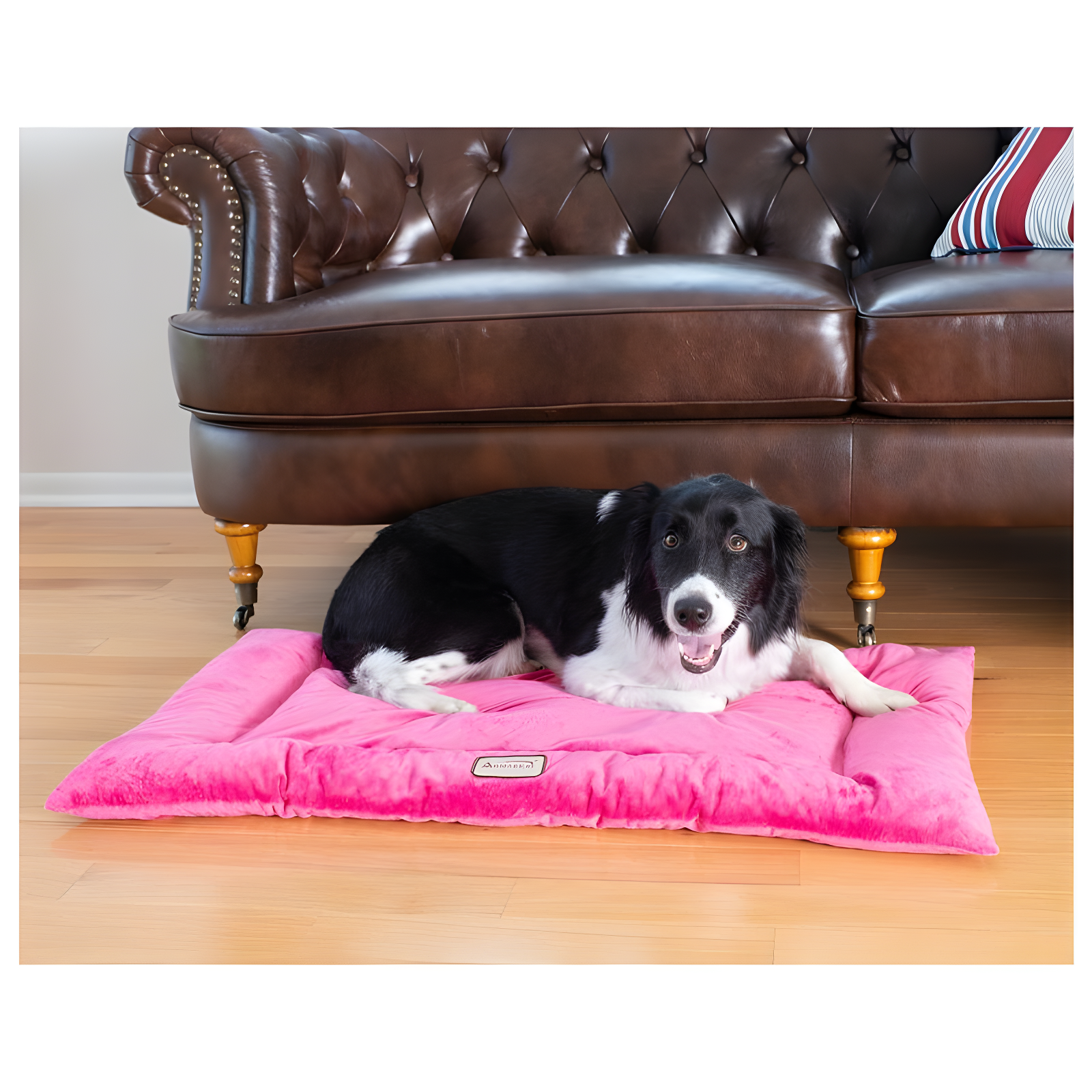 Armarkat Velvet Pet Bed