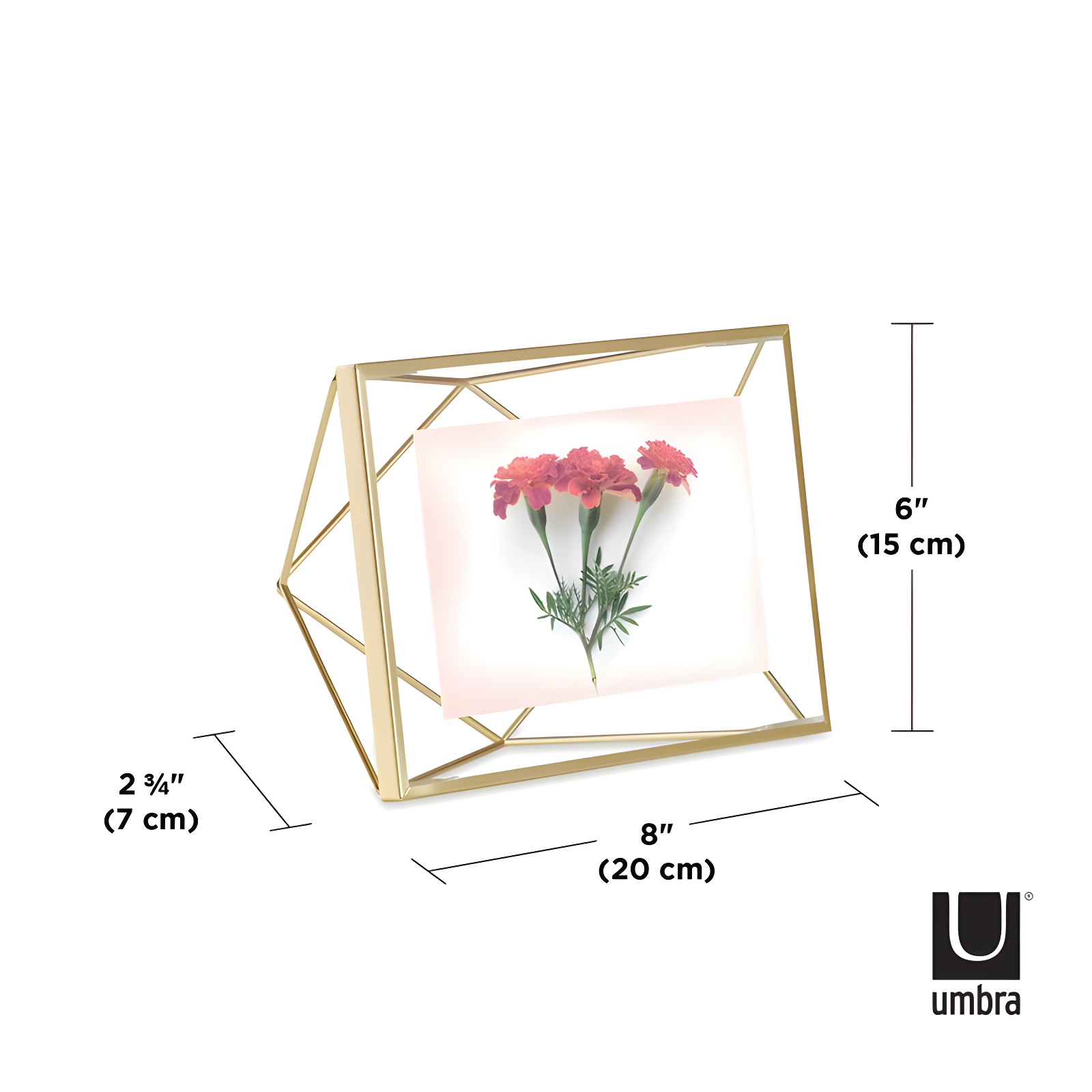 Umbra Prisma Metal Floater Picture Frame