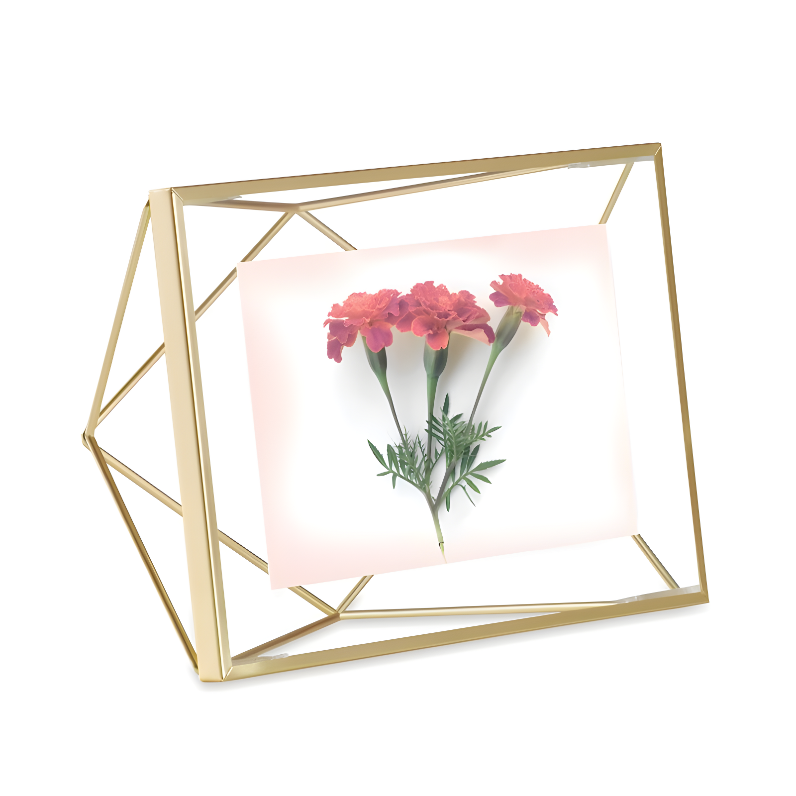 Umbra Prisma Metal Floater Picture Frame