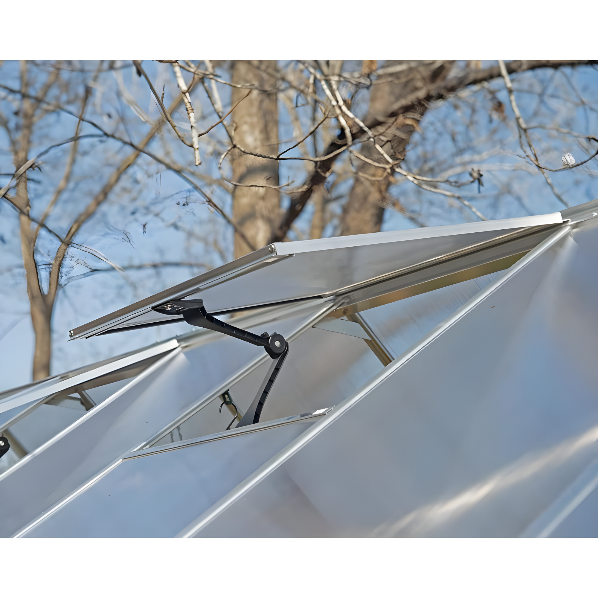 Canopia Palram - Canopia Hybrid Polycarbonate Hobby Greenhouse & Reviews | Wayfair