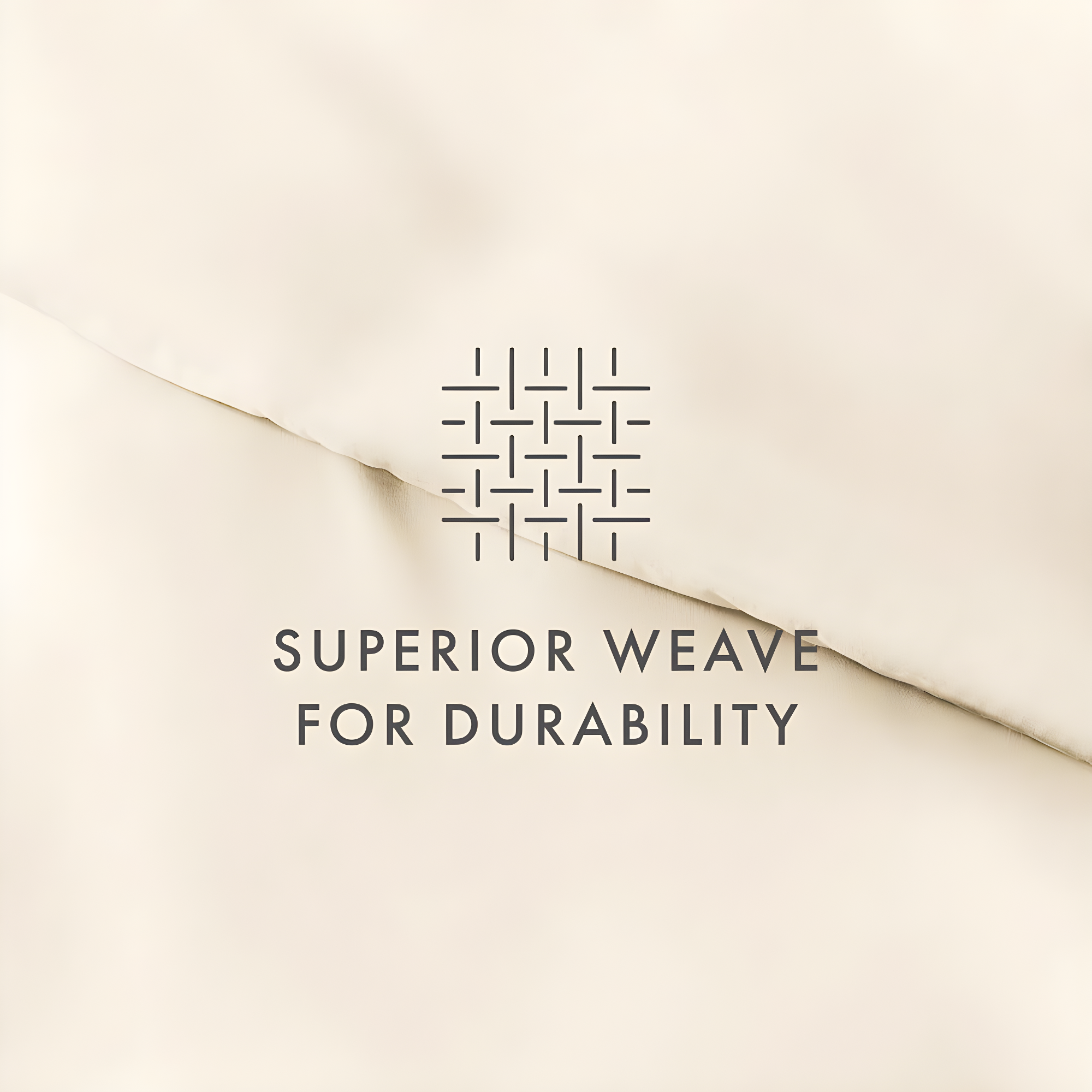 IEnjoy Home Super Soft Double Brushed Duvet Cover Set