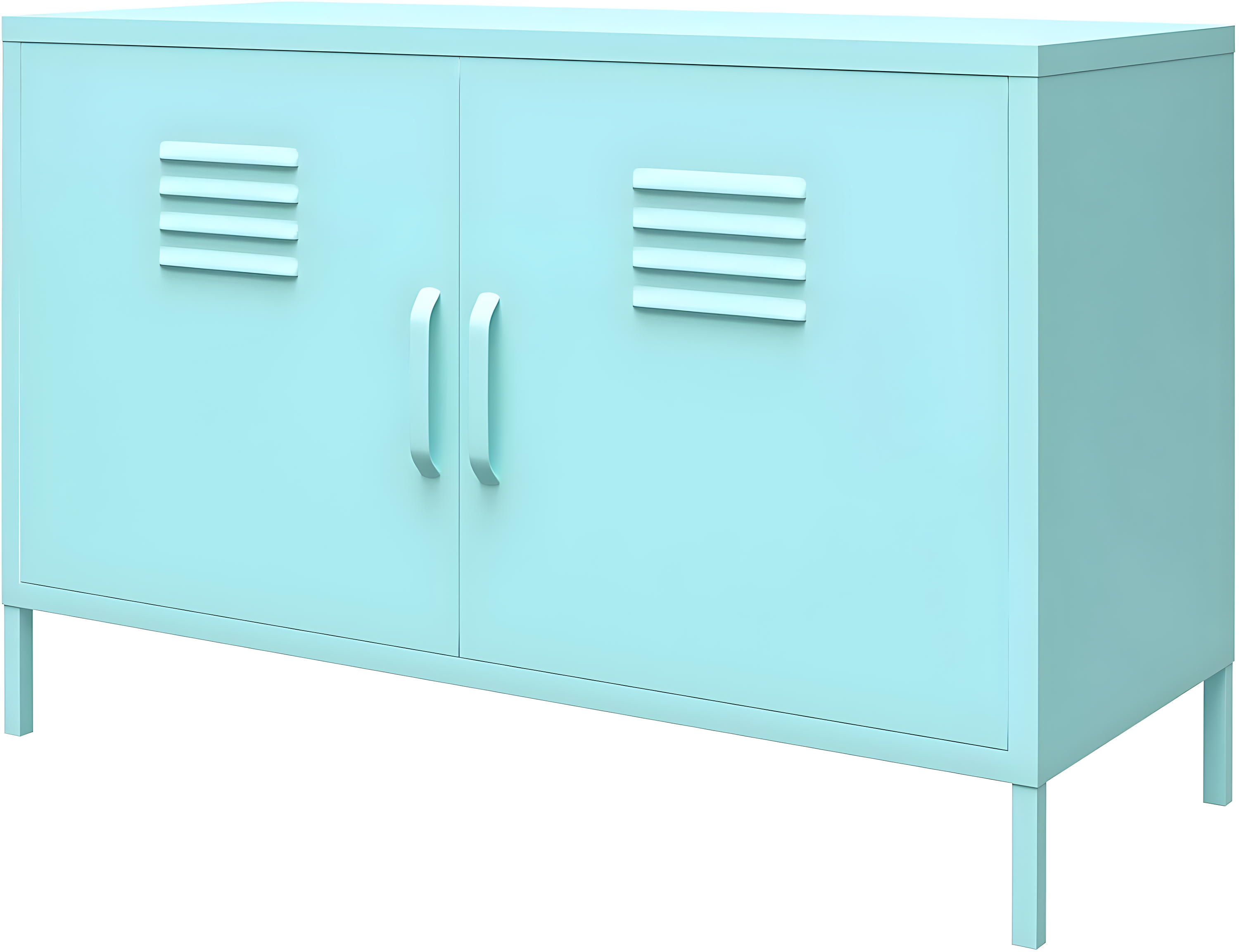 Cache 2-Door Accent Cabinet