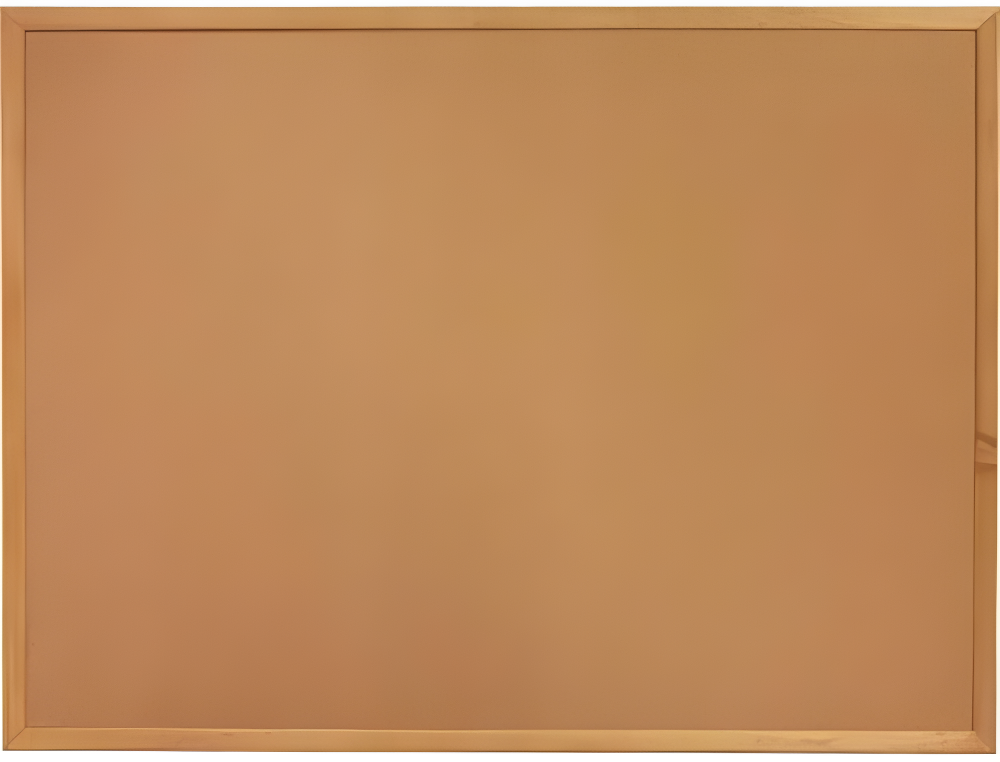 Wall Cork Bulletin Board