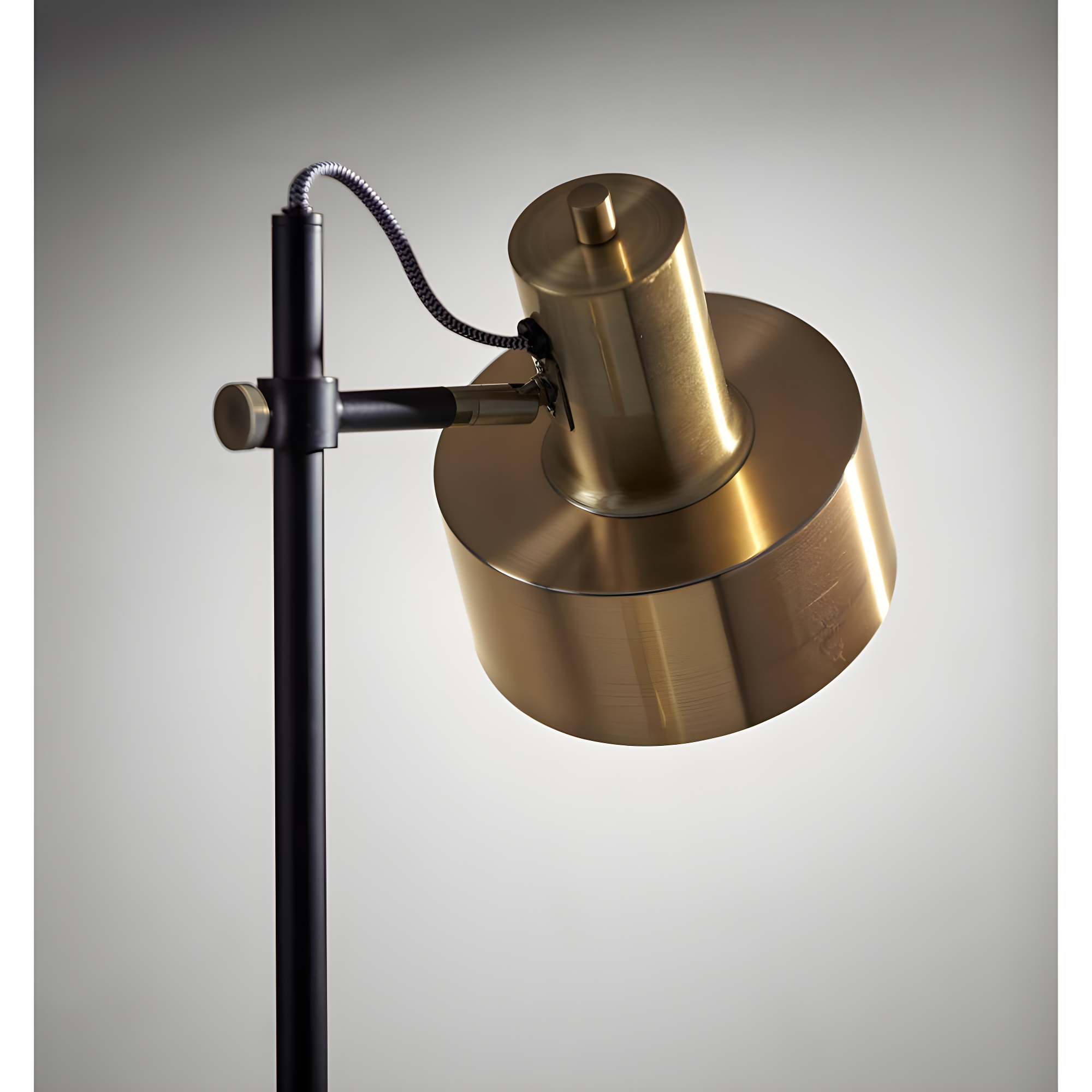 ZeaZu 56.5'' Matte Black LED Swing Arm Floor Lamp