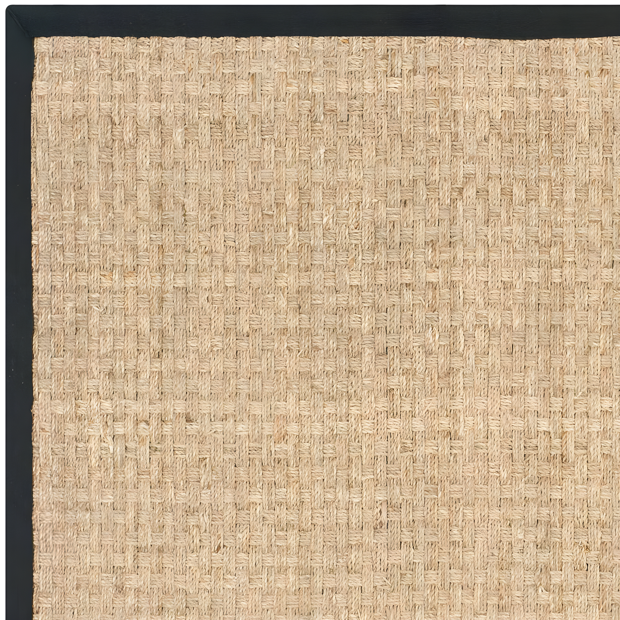 Natural Fiber NF114 Power Loomed Indoor Area Rug - Natural/Black - 8'x8' - Safavieh.