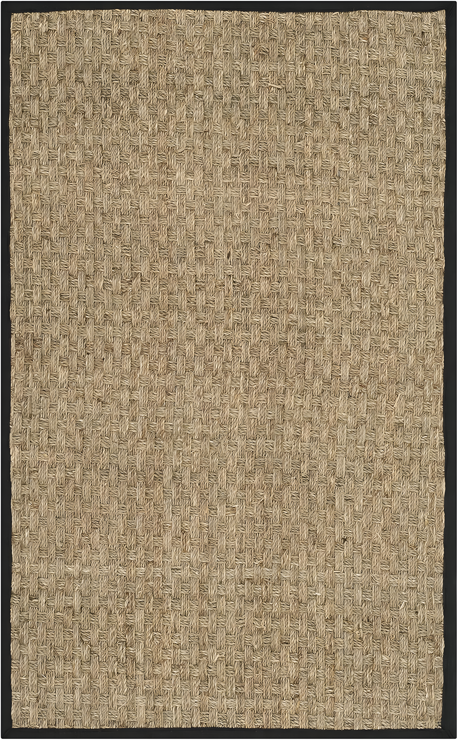 Natural Fiber NF114 Power Loomed Indoor Accent Rug - Natural/Black - 2'x3' - Safavieh.
