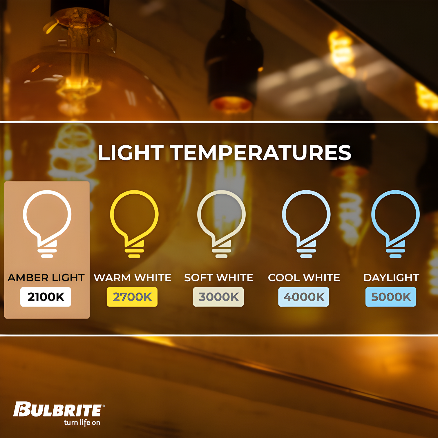 Oversized G63 Clear LED Edison Bulb, 60 Watt Equivalent, E26 Dimmable 2200K
