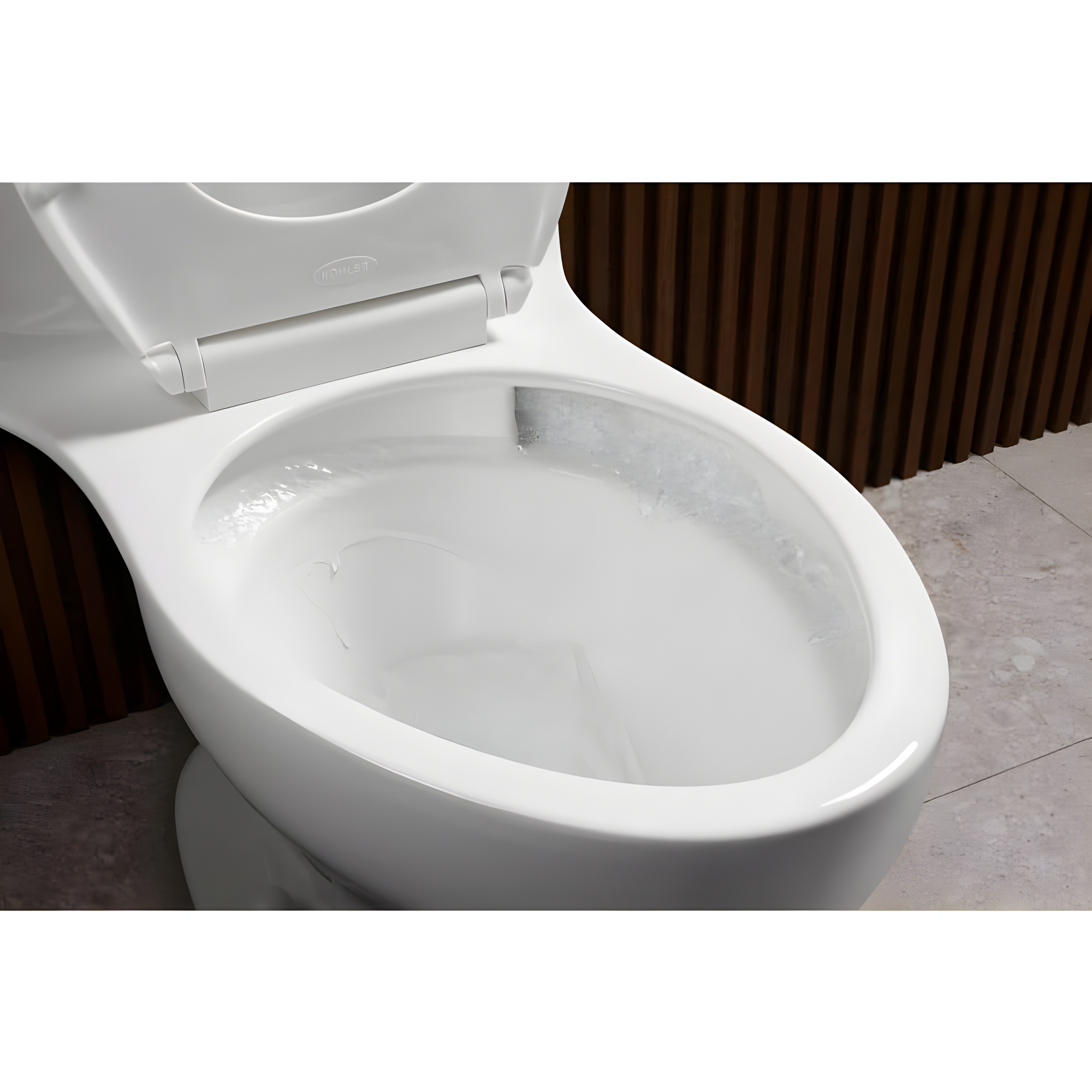 Santa Rosa One-Piece Compact Elongated 1.6 Gpf Toilet With Revolution 360 Swirl Flushing Technology