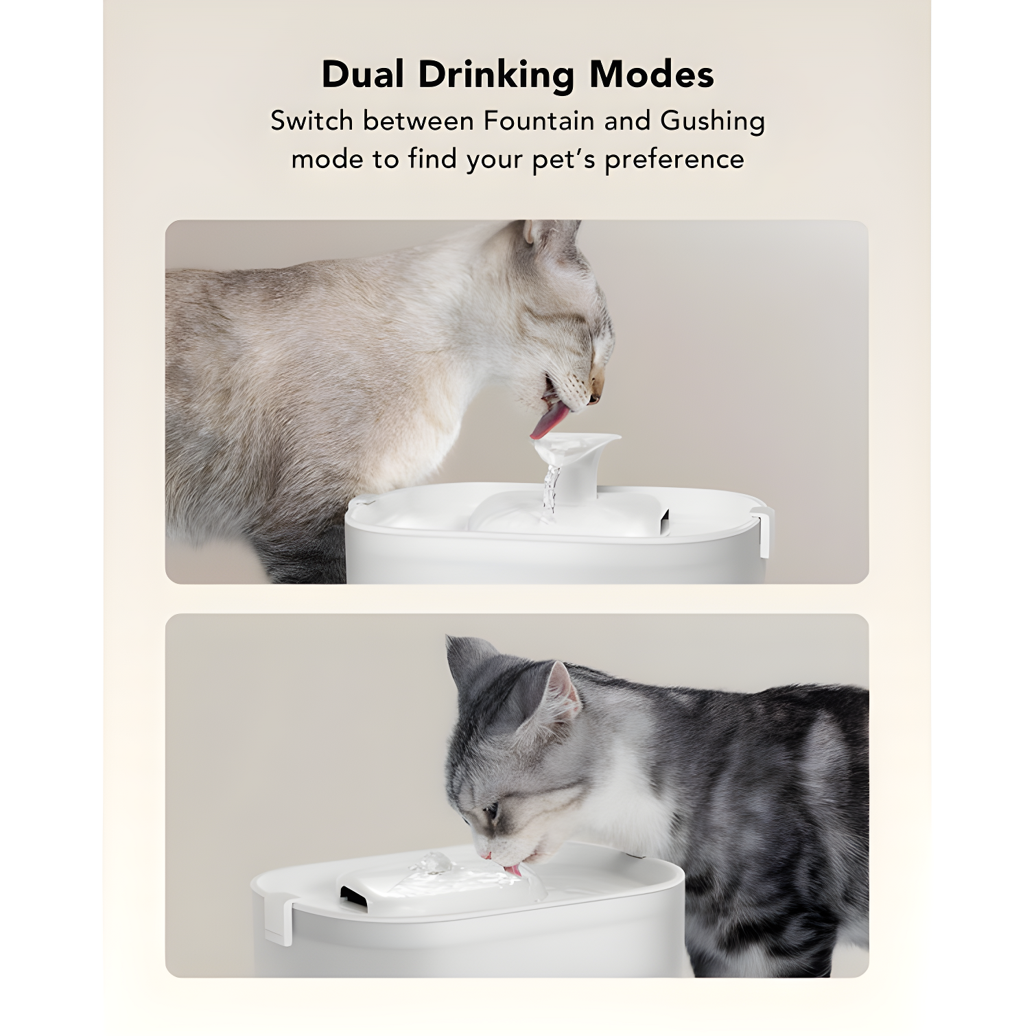 PETLIBRO Petlibro Dockstream Automatic Pet Water Fountain