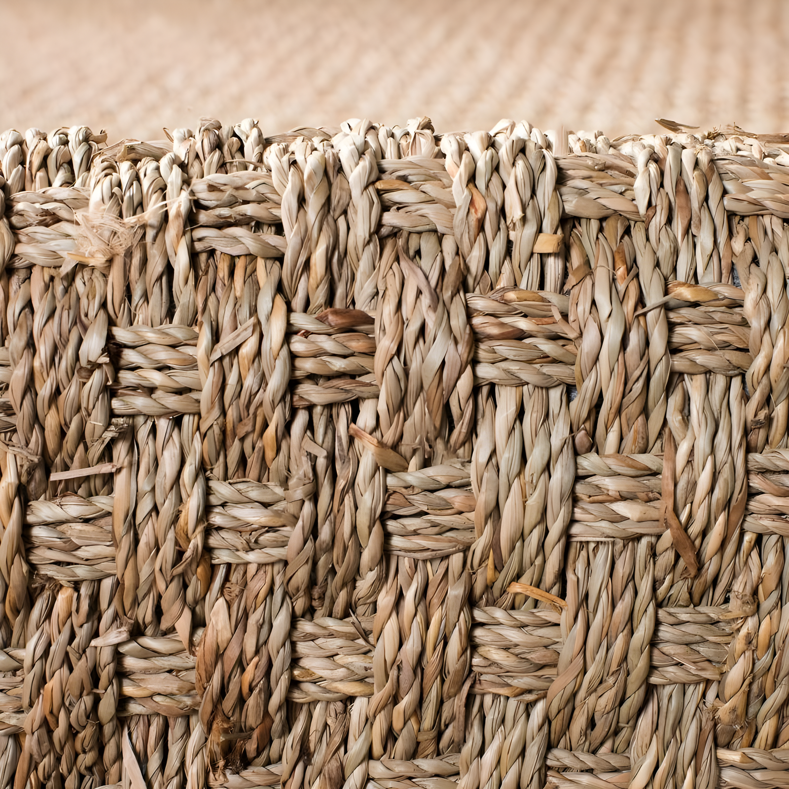 Natural Fiber NF114 Power Loomed Indoor Area Rug - Natural/Dark Brown - 5'x8' - Safavieh.