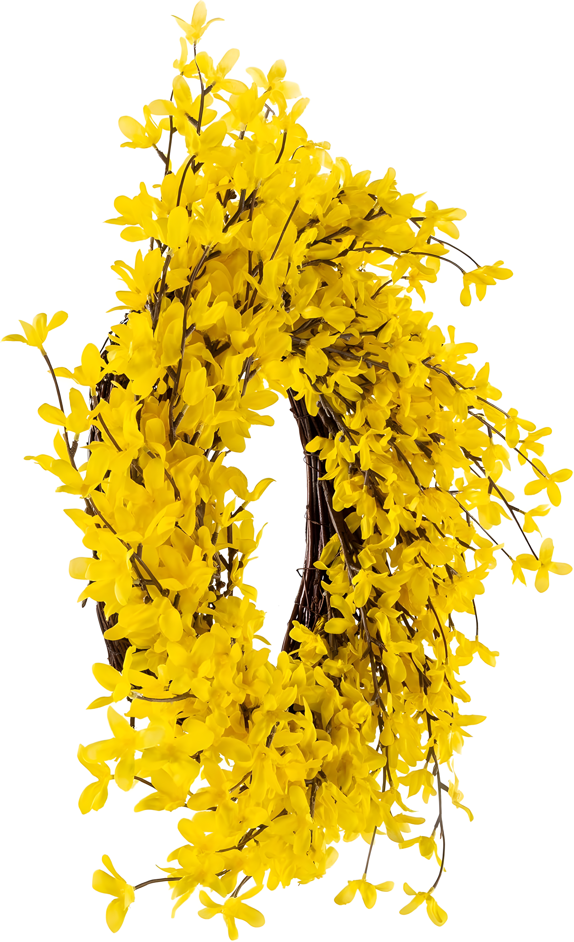 Pure Garden Set of Two 24-Inch Artificial Forsythia Wreaths for Home Decor