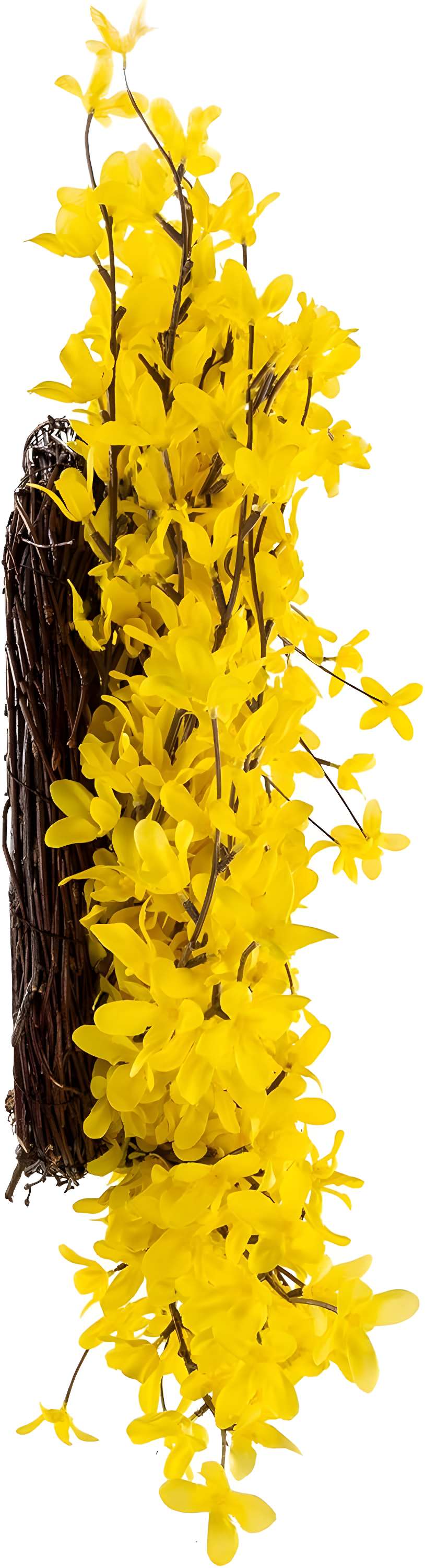 Pure Garden Set of Two 24-Inch Artificial Forsythia Wreaths for Home Decor