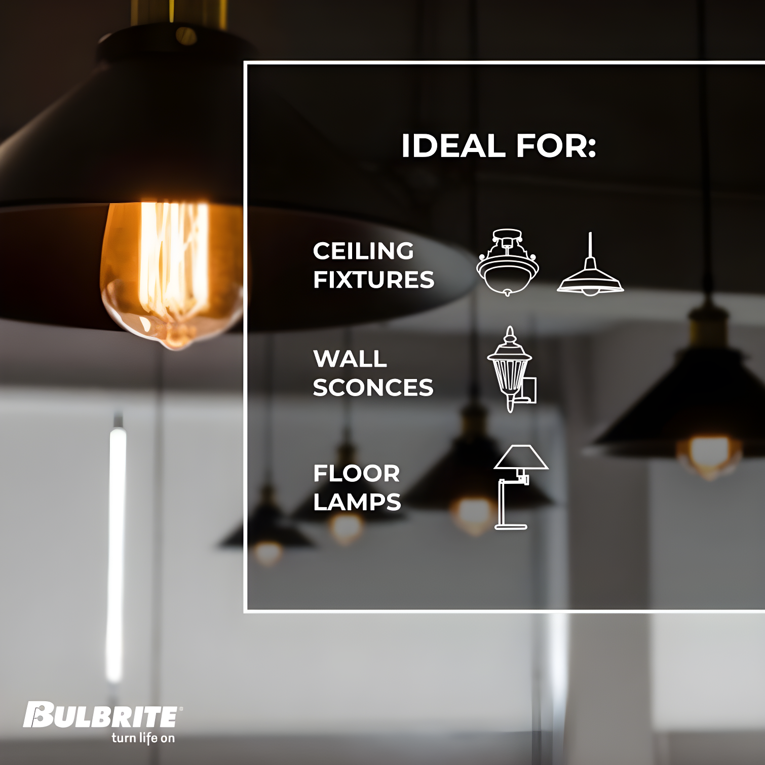 40 Watt Dimmable Amber ST18 Nostalgic Hairpin Incandescent Light Bulbs with Medium (E26) Base