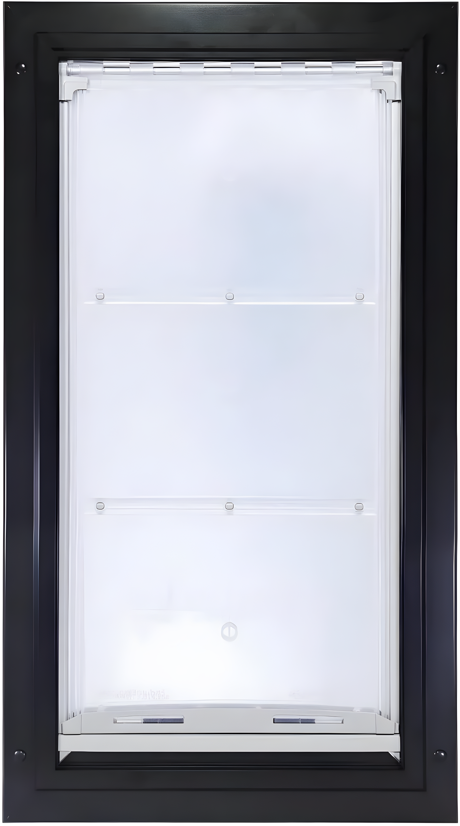 Wall Mounted Pet Door