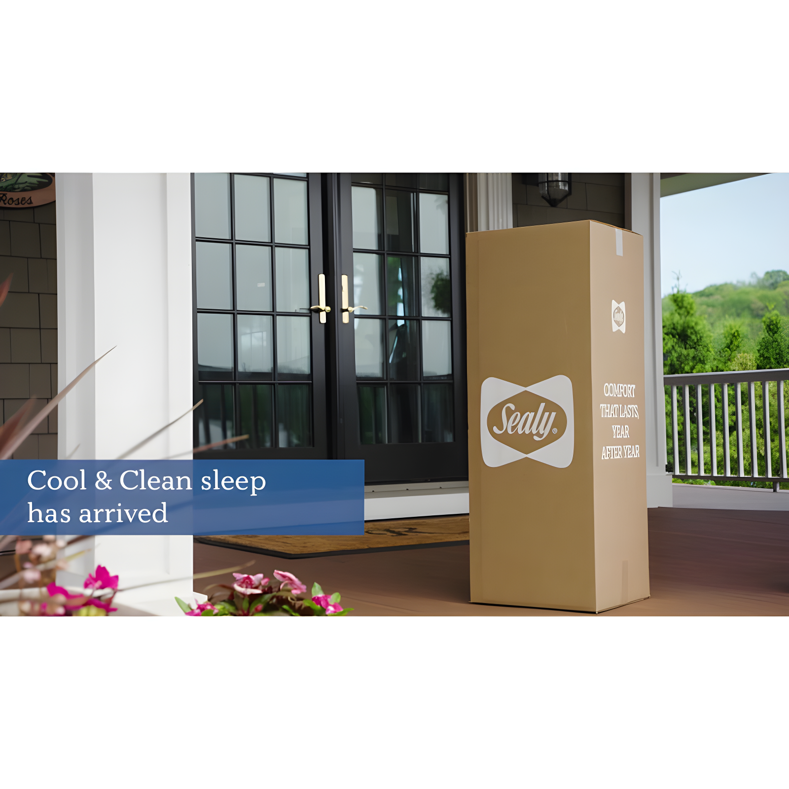 Sealy Sealy Cool and Clean 8" Medium Memory Foam Mattress