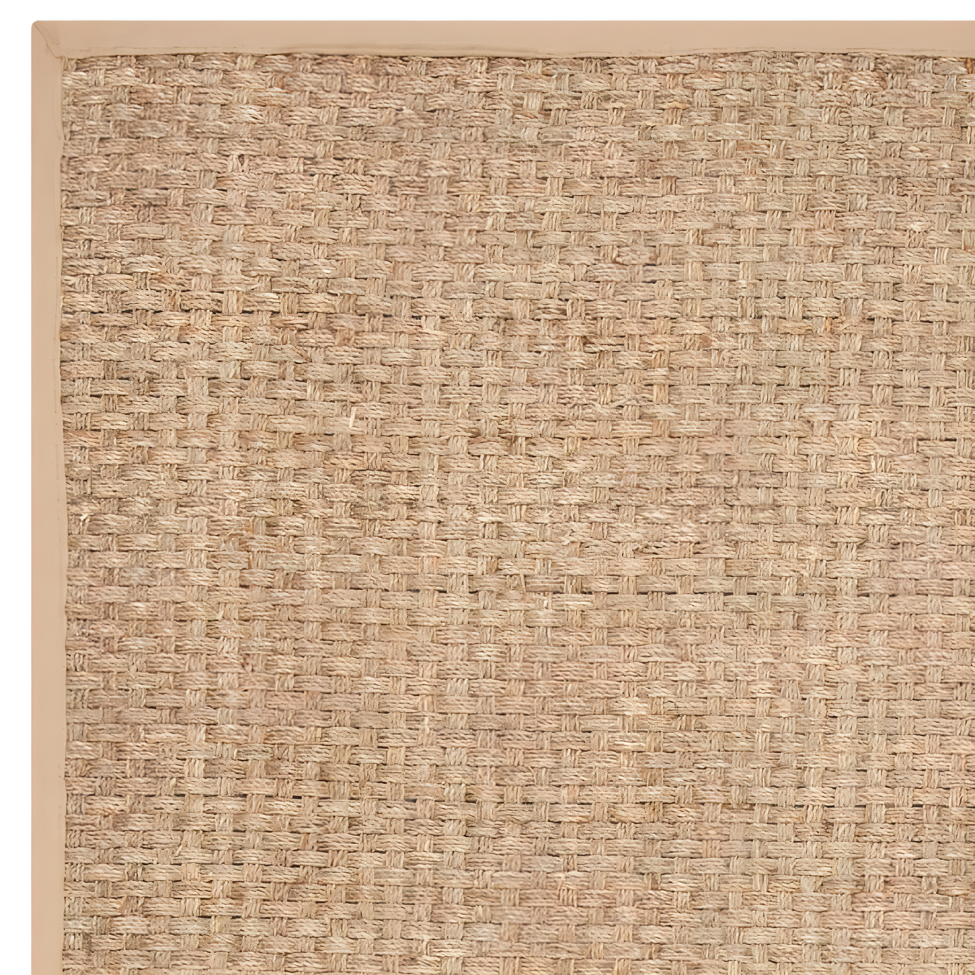 Natural Fiber NF114 Power Loomed Indoor Area Rug - Natural/Beige - 8'x10' - Safavieh.