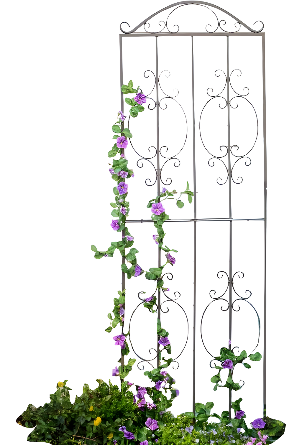 Plow & Hearth Montebello 109'' H x 32'' W Iron Gothic Trellis