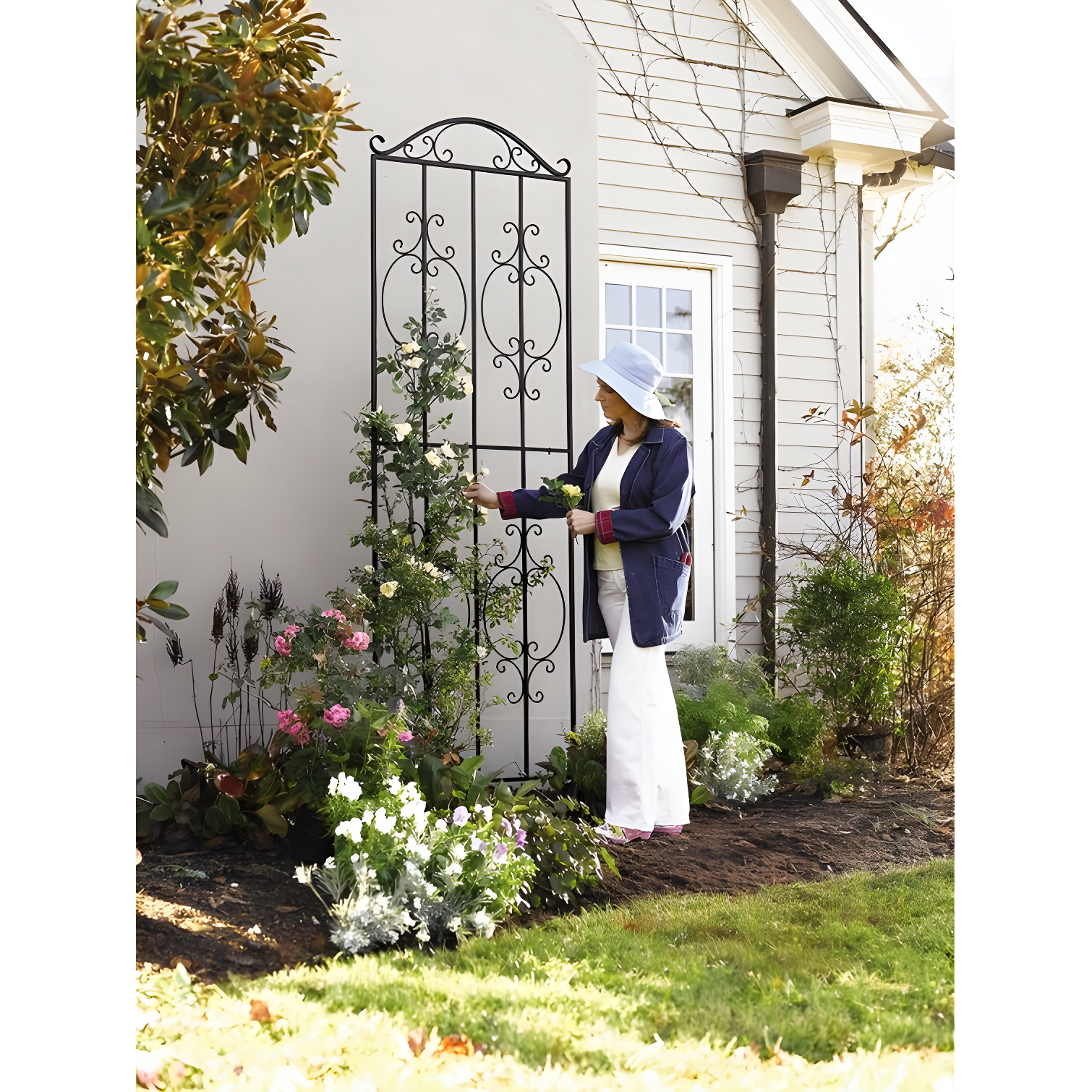 Plow & Hearth Montebello 109'' H x 32'' W Iron Gothic Trellis