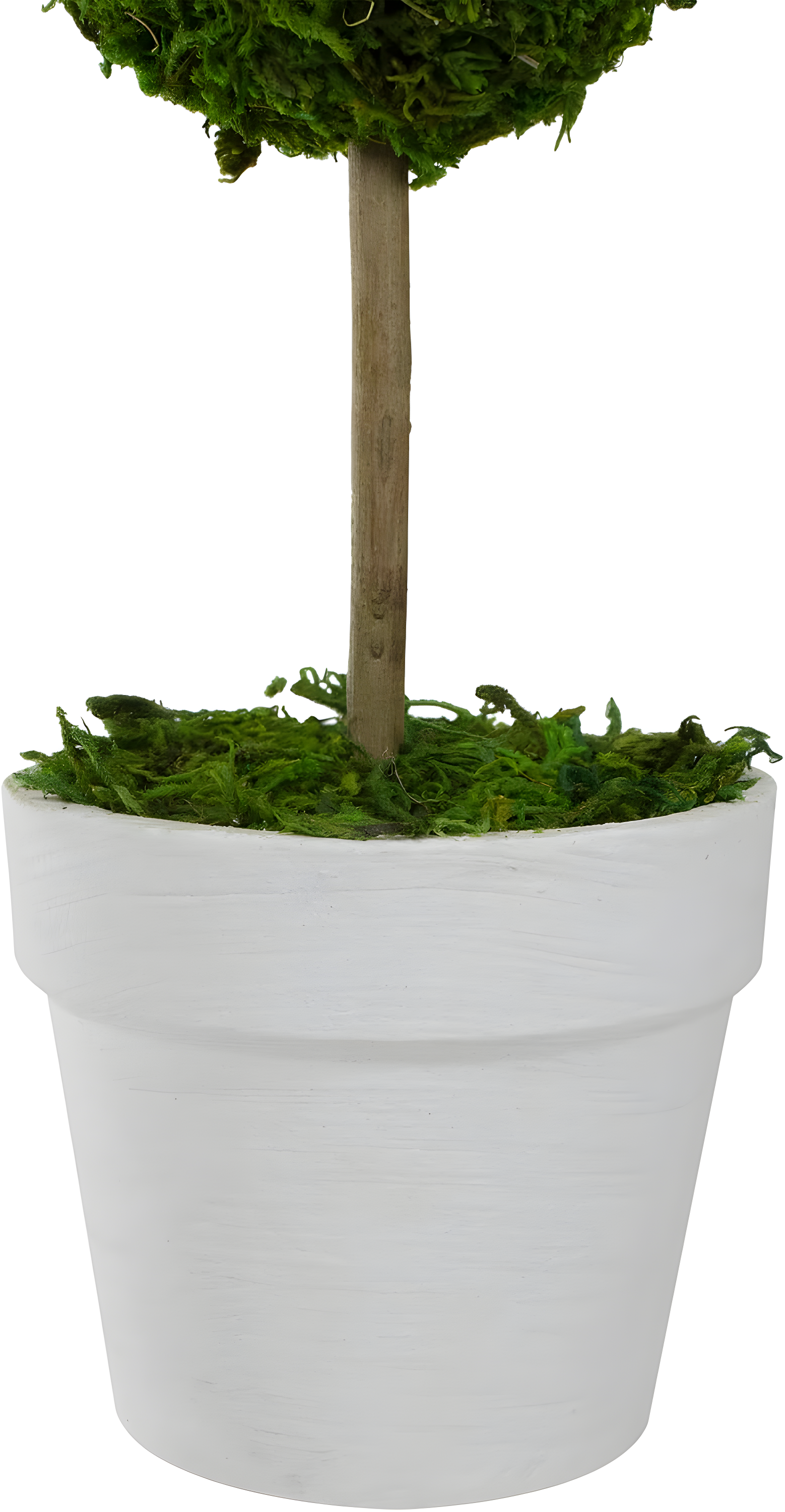 Northlight Seasonal Green Reindeer Moss Ball Potted Artificial Spring Topiary Tree