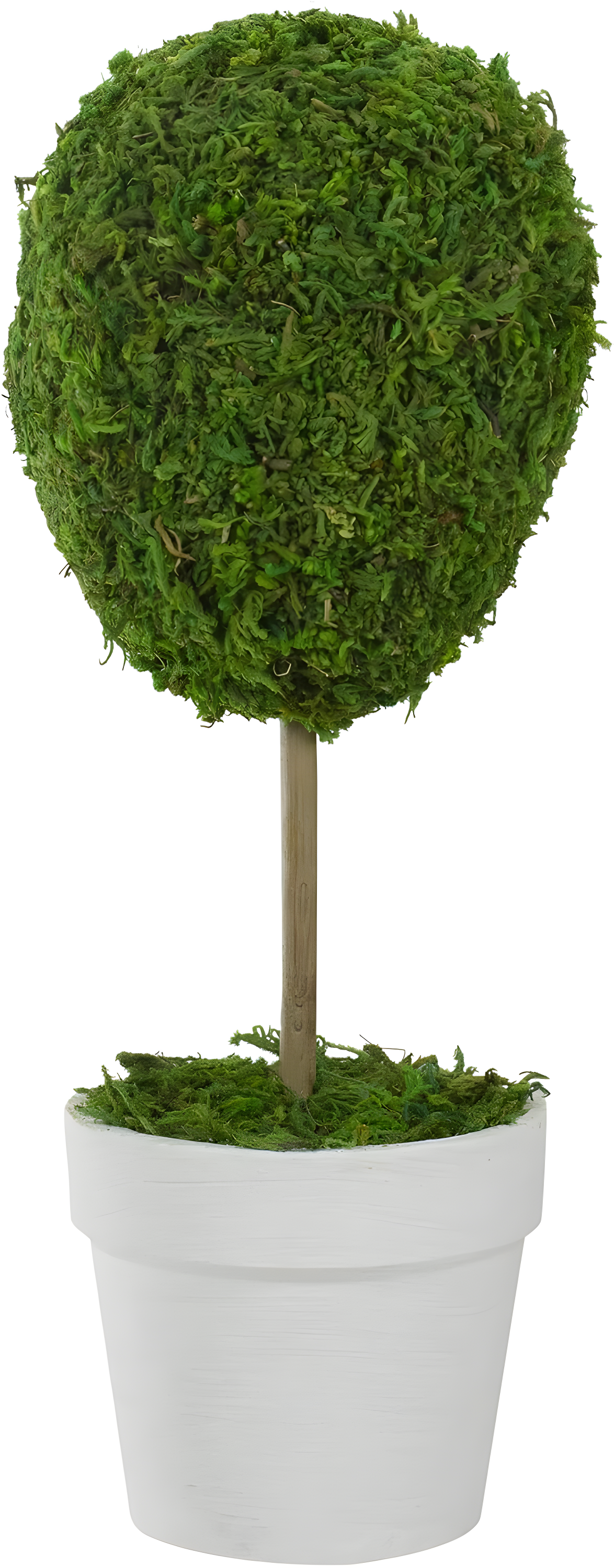 Northlight Seasonal Green Reindeer Moss Ball Potted Artificial Spring Topiary Tree