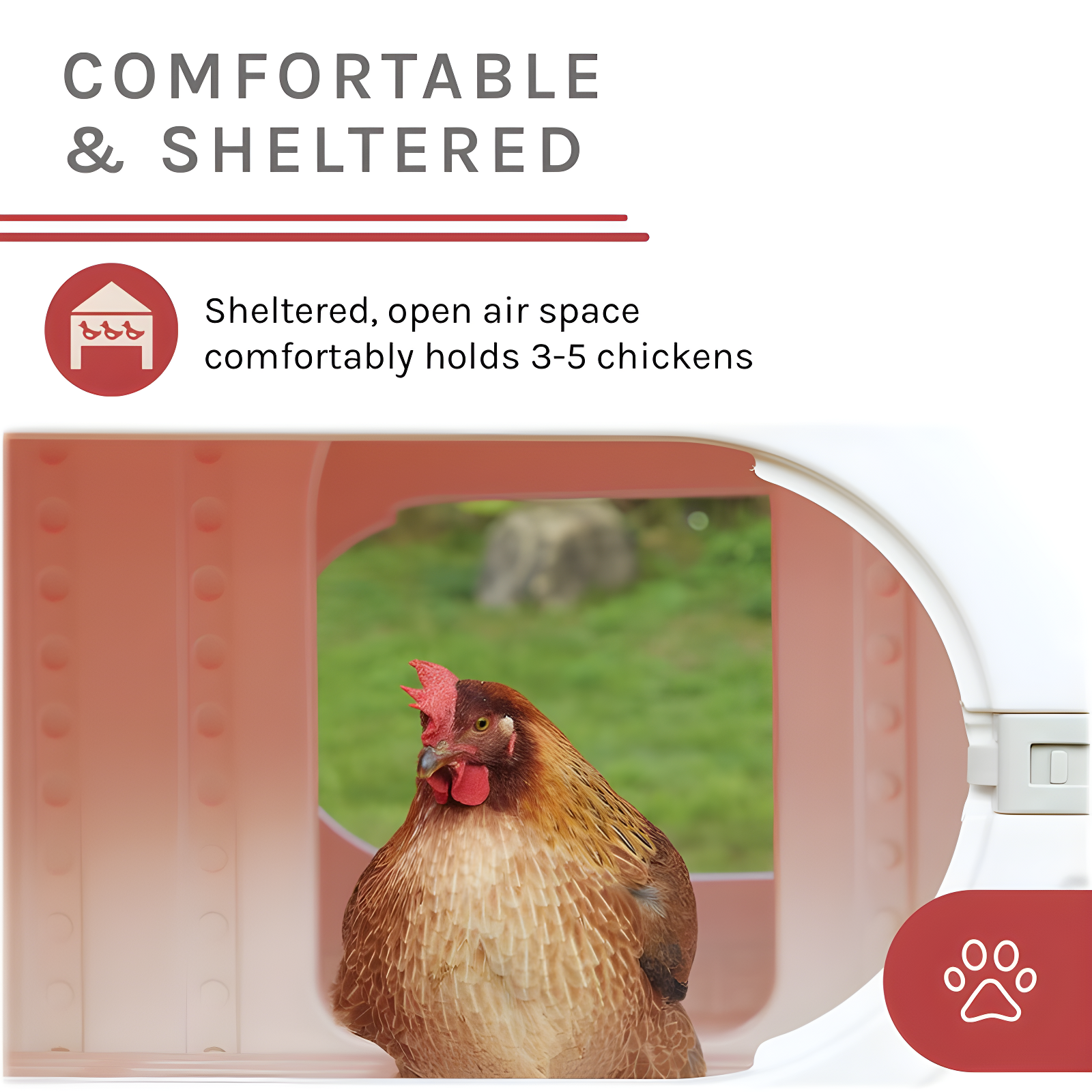 Sam's Pets Kuritsa 15 Square Feet Walk In Chicken Coop with Nesting Box For Up To 3 Chickens