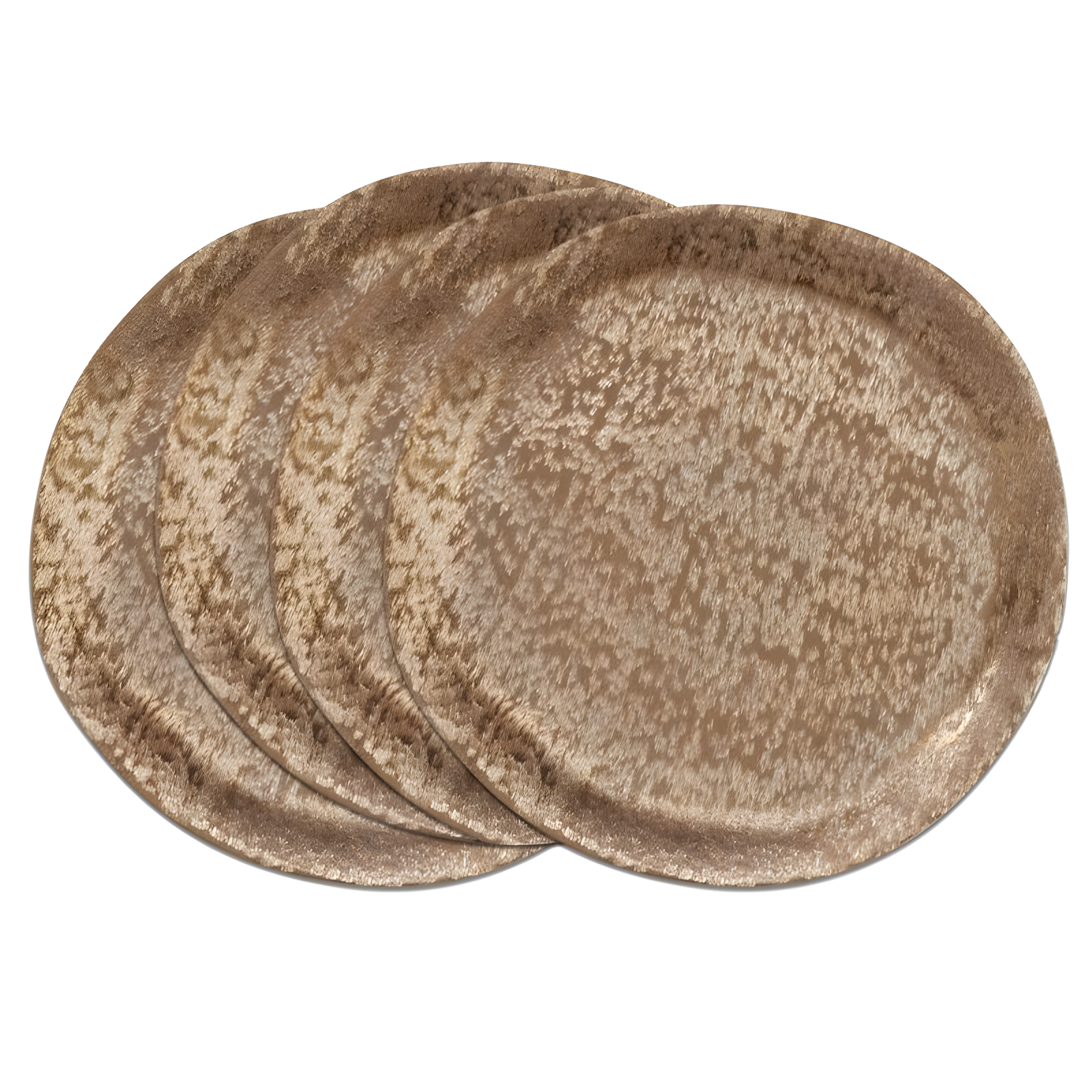 Zadia Brushed Metal Charger Plate (Set of 4)