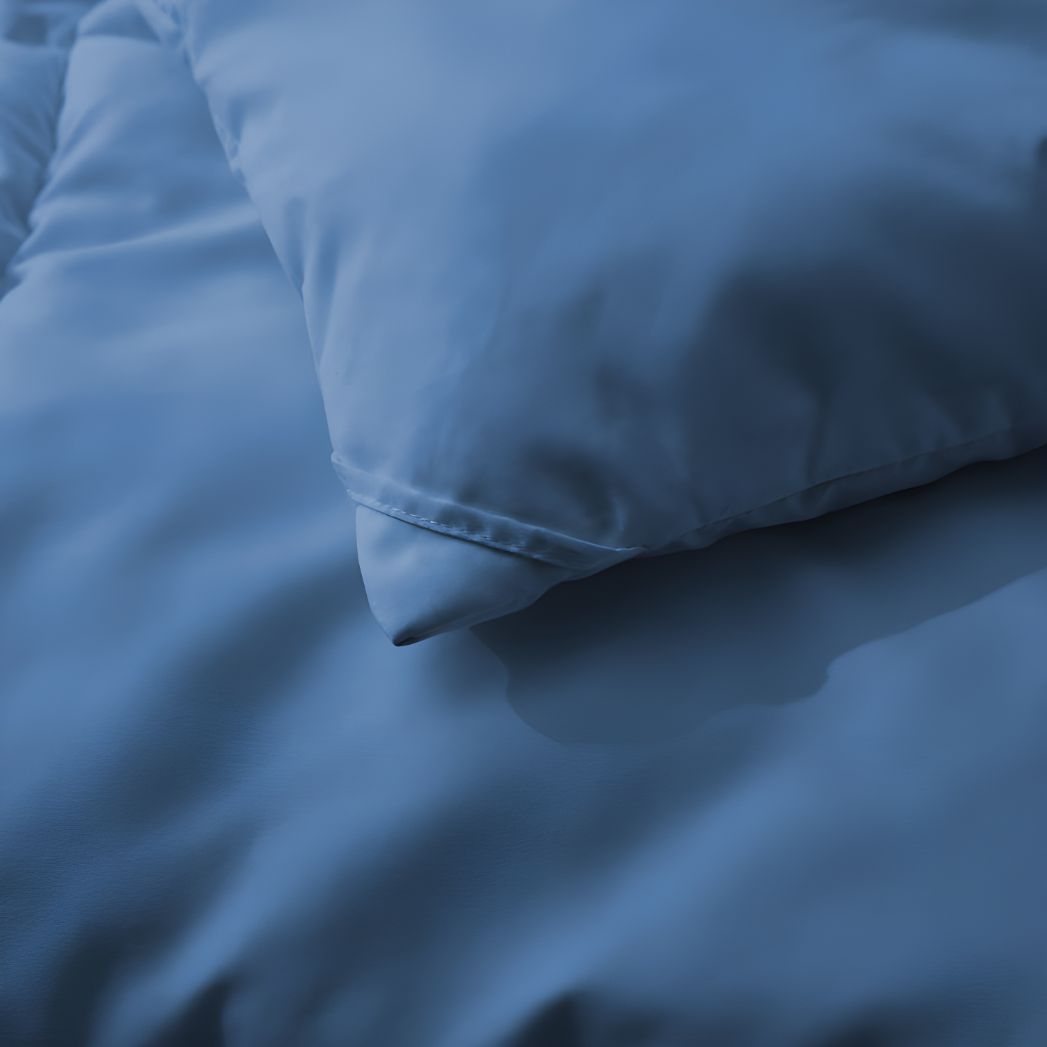 Wayfair Sleep Lightweight Down Alternative Comforter