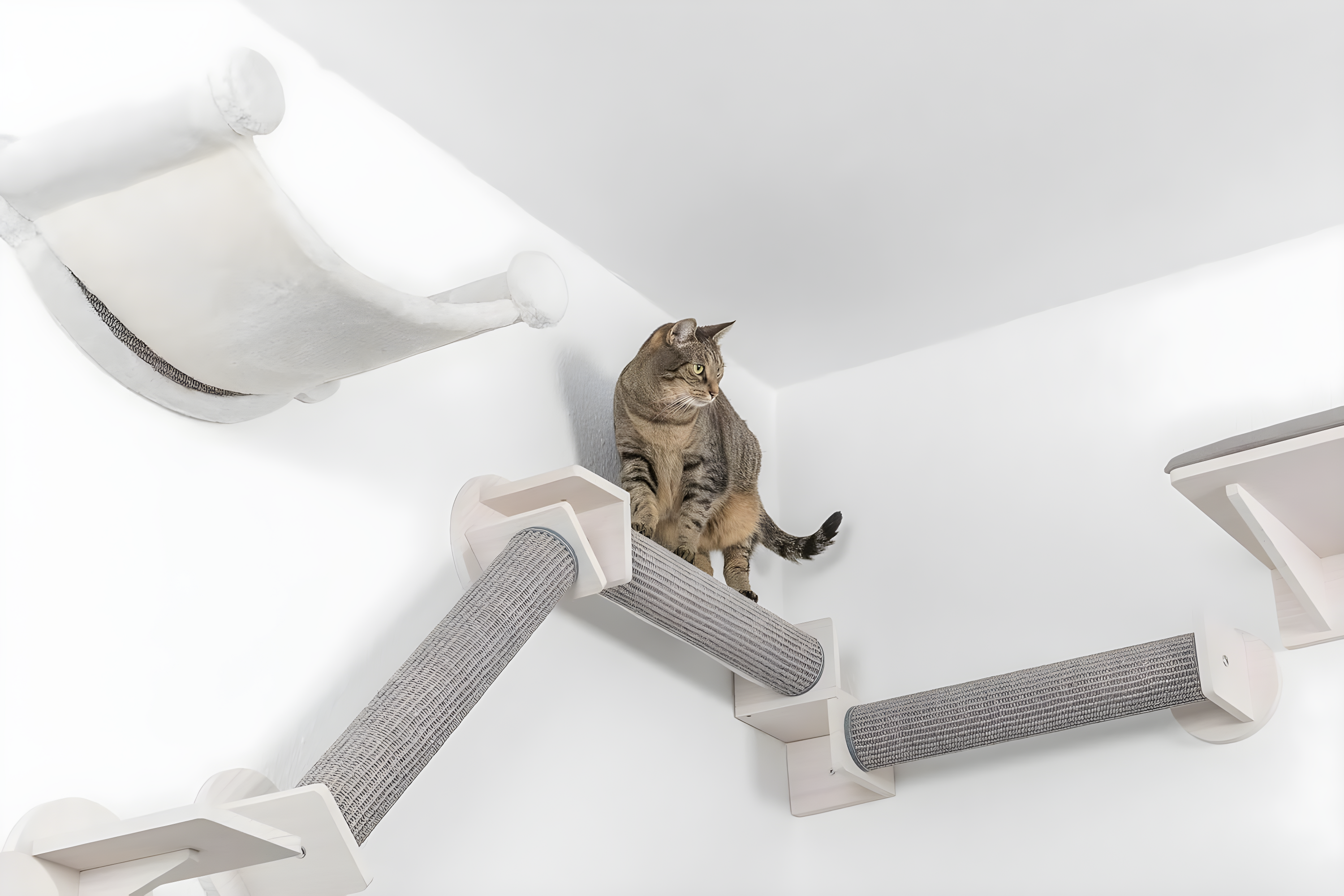 TRIXIE Wall Set 6 Wall Mounted Cat Climbing System, 3 Scratching Posts Goes Around Corners, 3 Platforms, 1 Step
