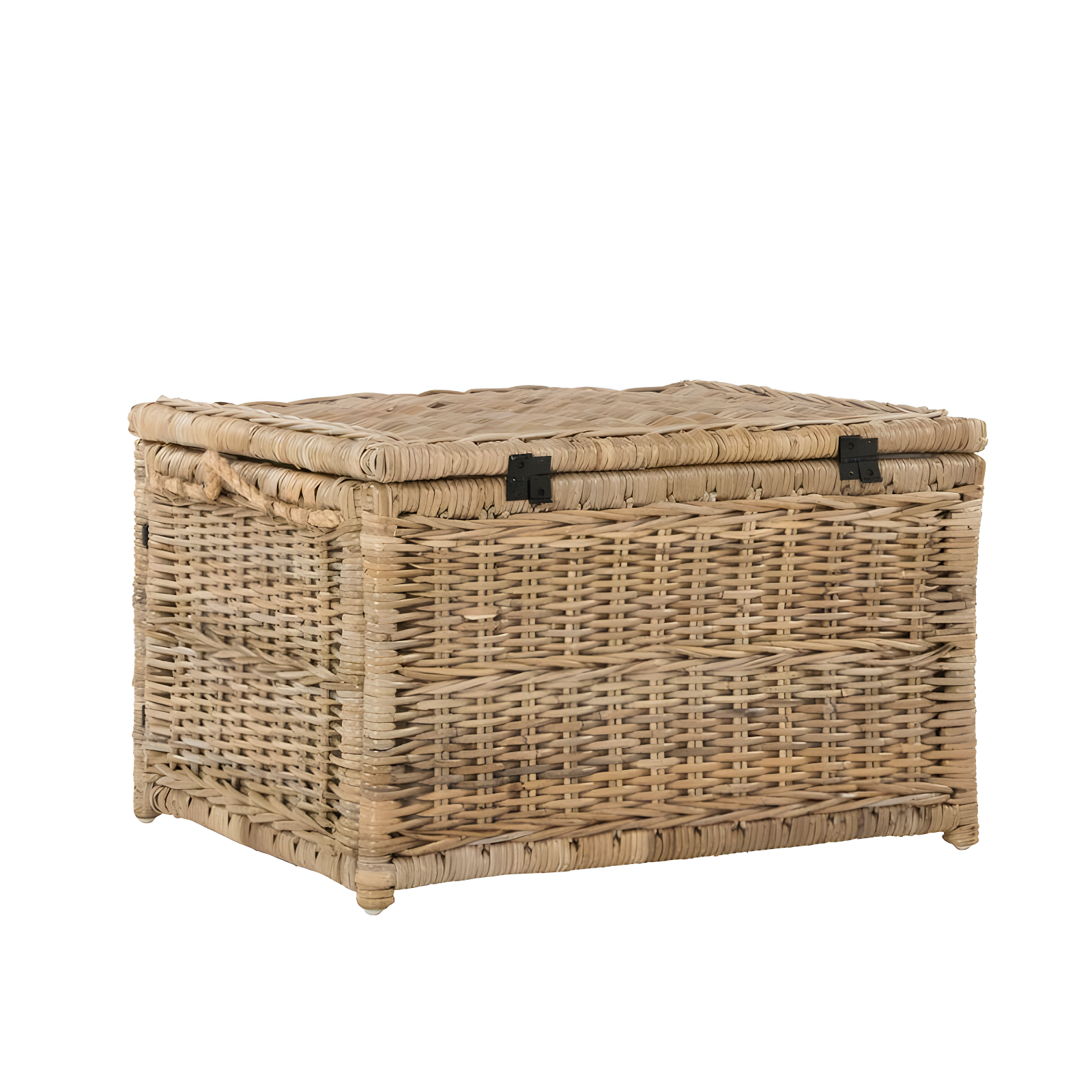 happimess Caden 30" Wicker Storage Trunk, Natural