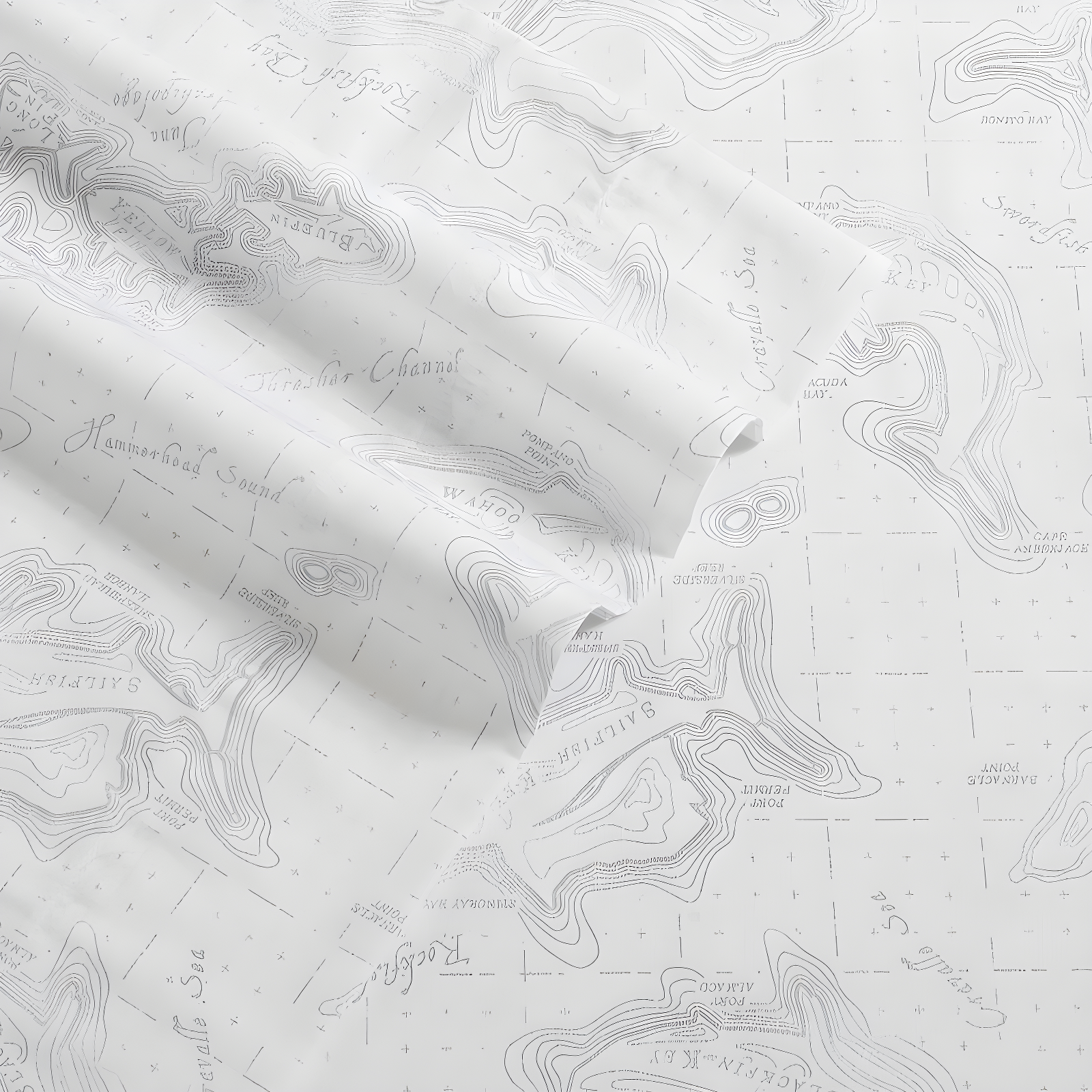 Eddie Bauer Eddie Bauer Printed Cotton Percale Sheet Sets