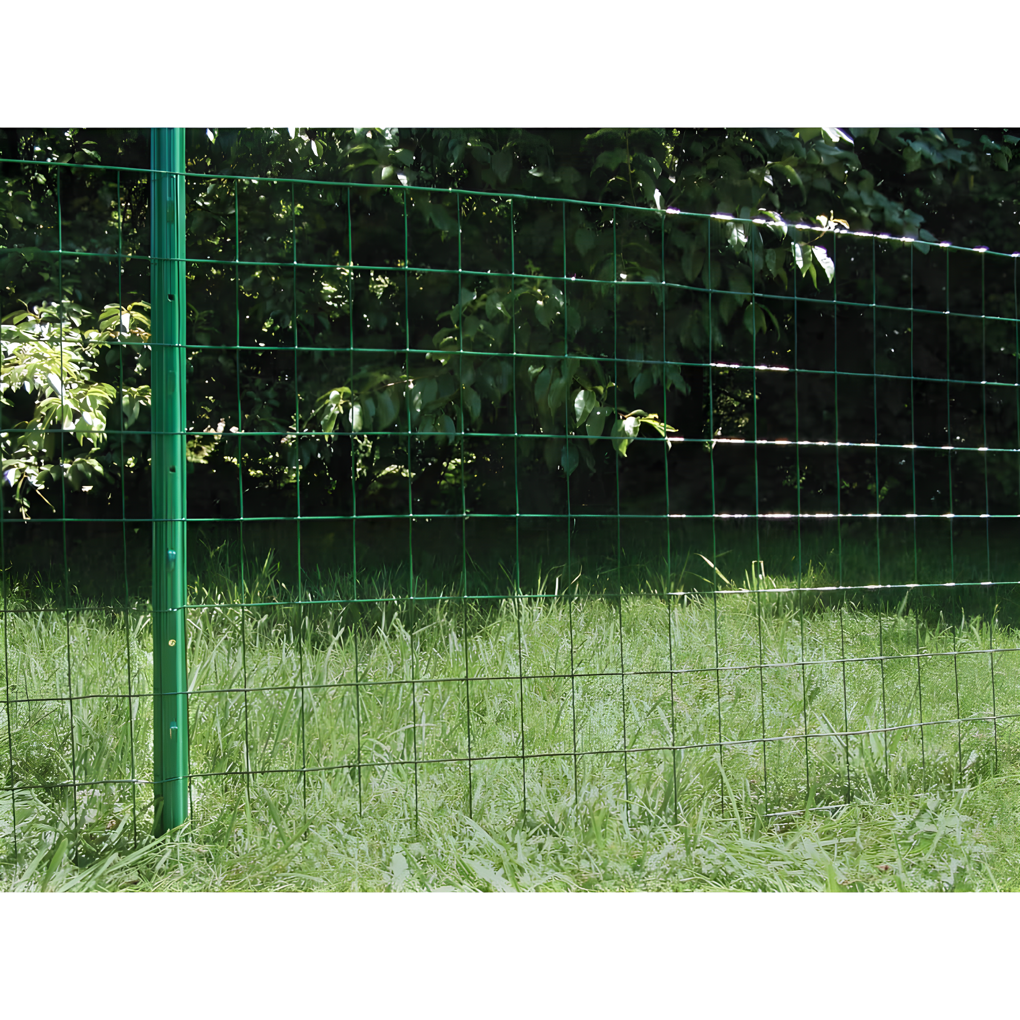 YARDGARD Metal Fencing