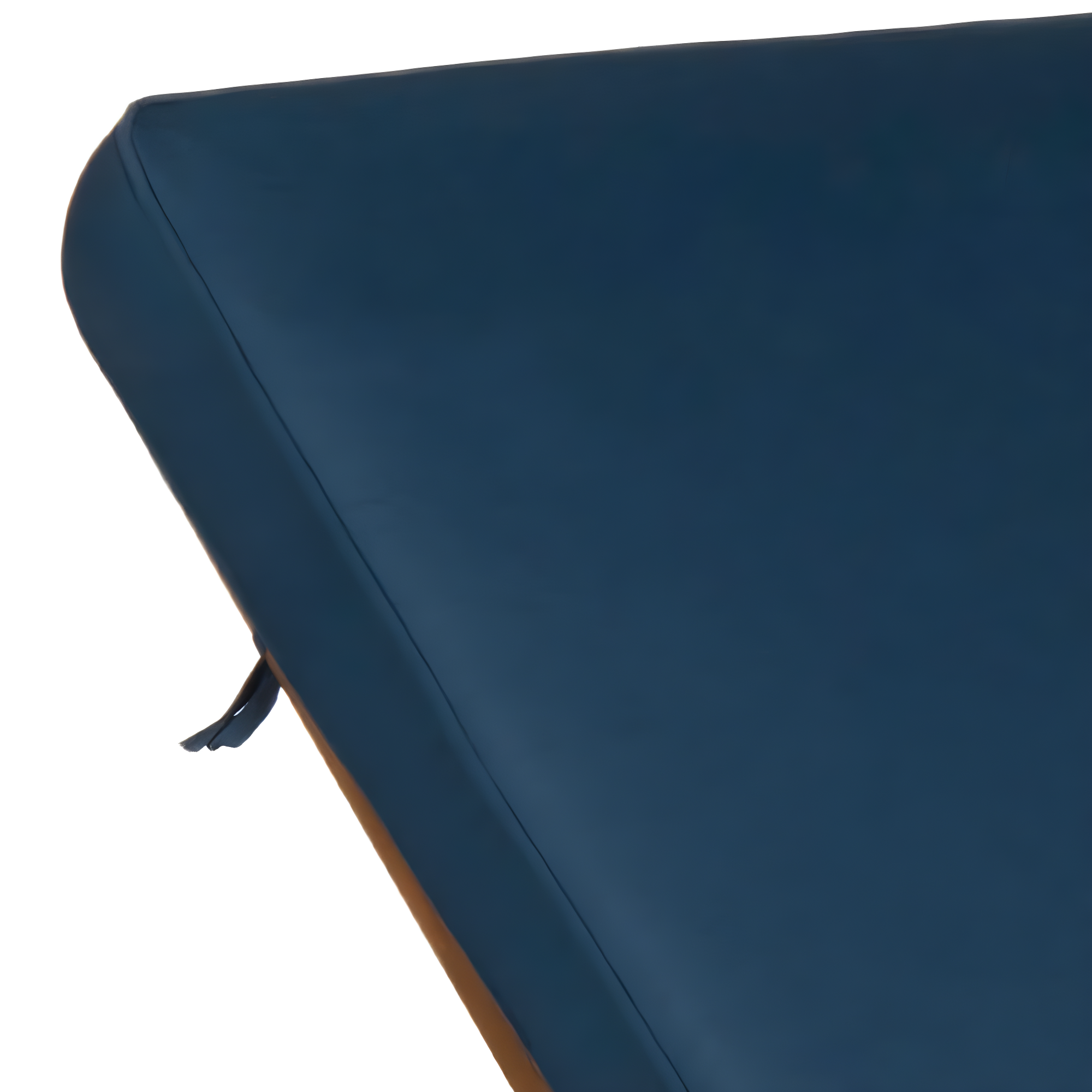 Newport Lounge Chair - Outdoor - PAT7022 - Natural/Navy -Safavieh