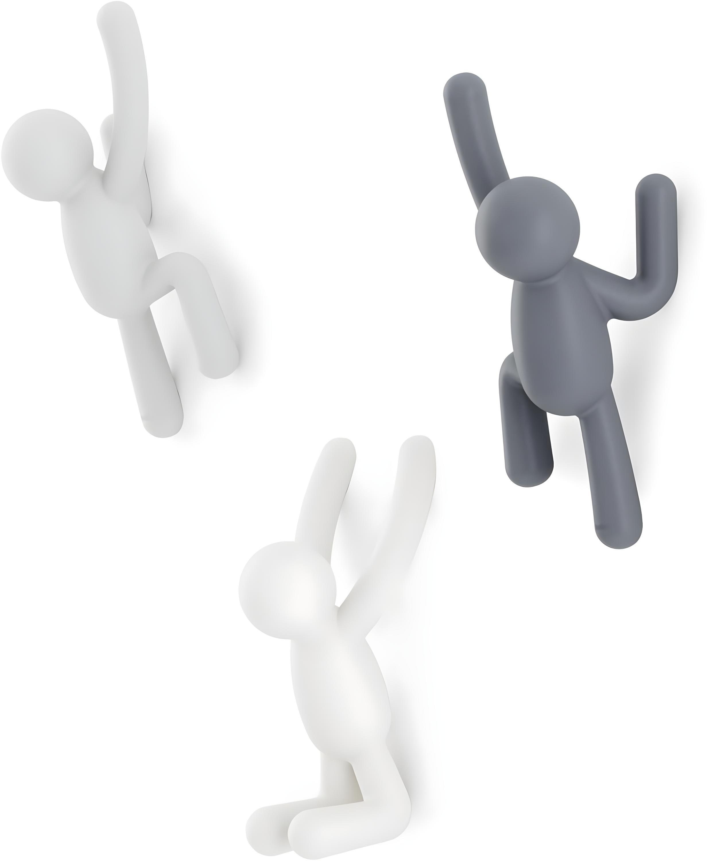 Buddy Wall Hook
