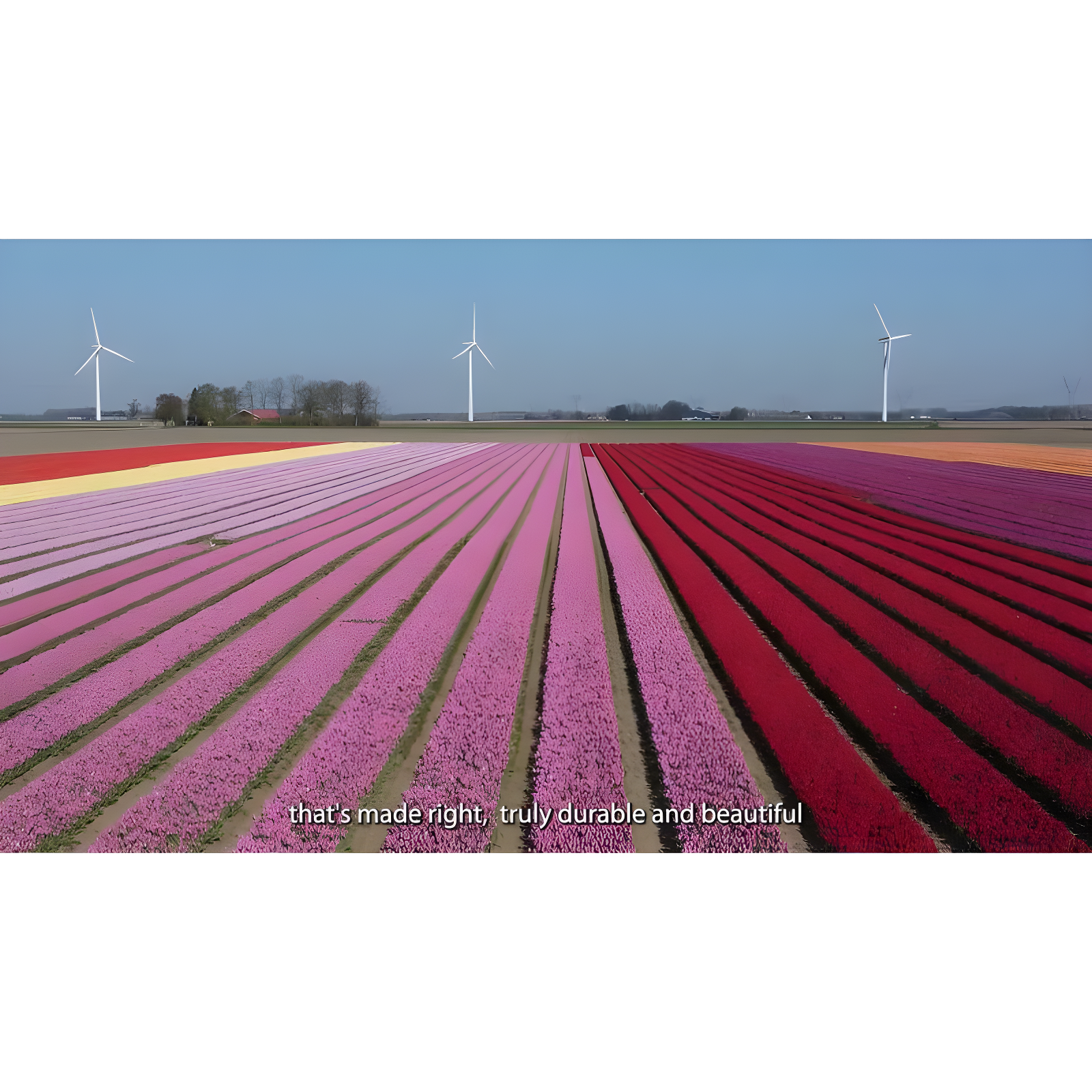Color Sense 100% Cotton Ultra-Light Flat Sheet