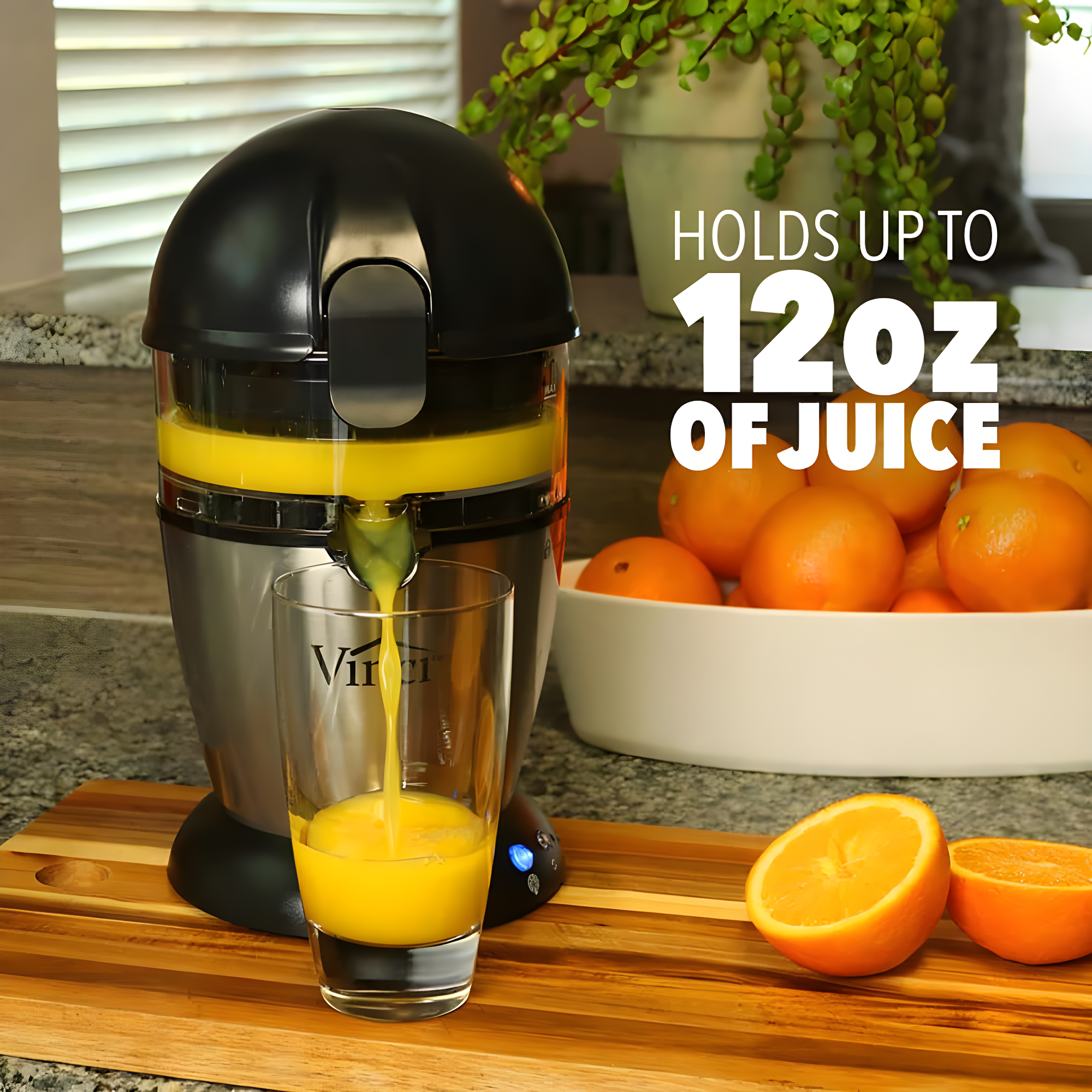 Vinci Vinci Electric Citrus Juicer