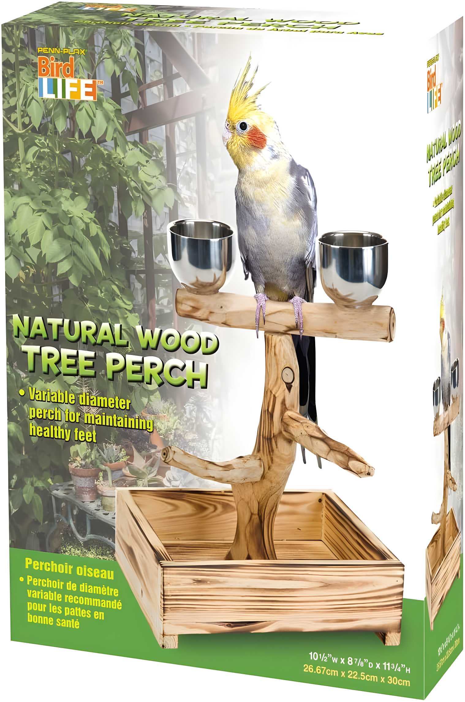 Penn-Plax Bird-Life Natural Wood Tree Perch for Small and Medium Birds, Brown