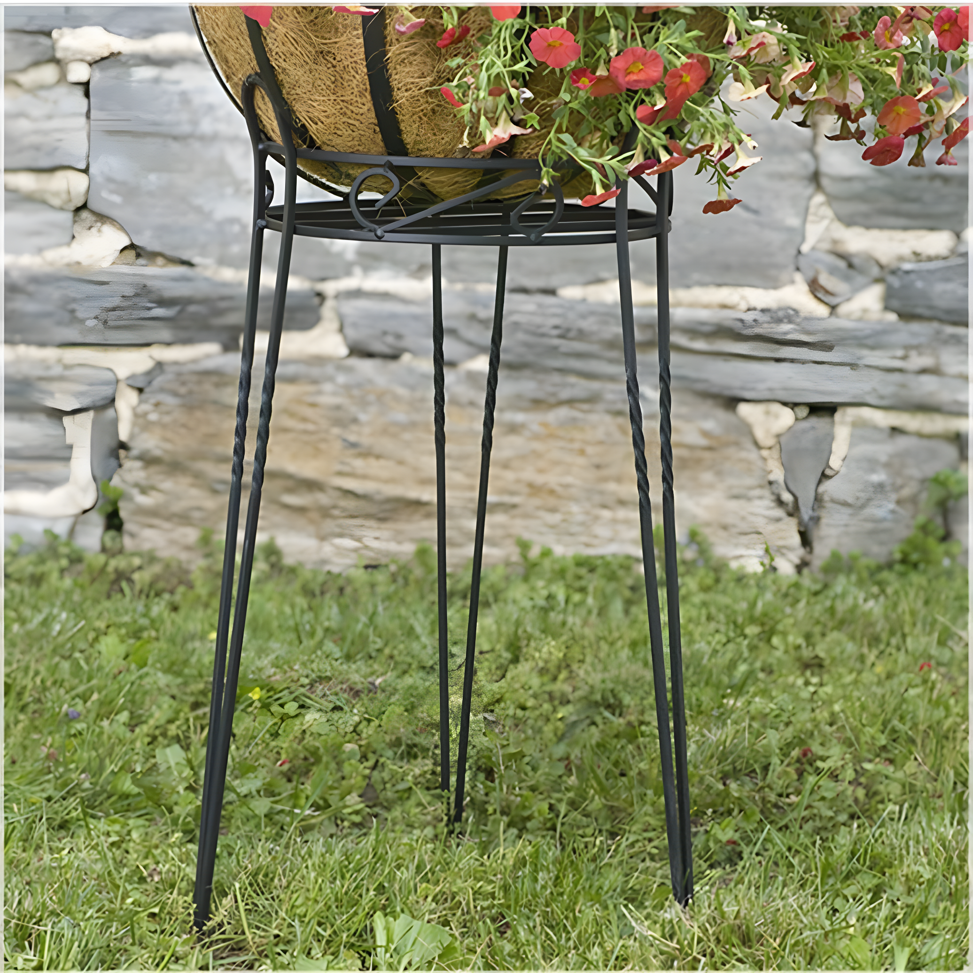 Elegant Canterbury Scroll 21" Black Steel Oval Plant Stand