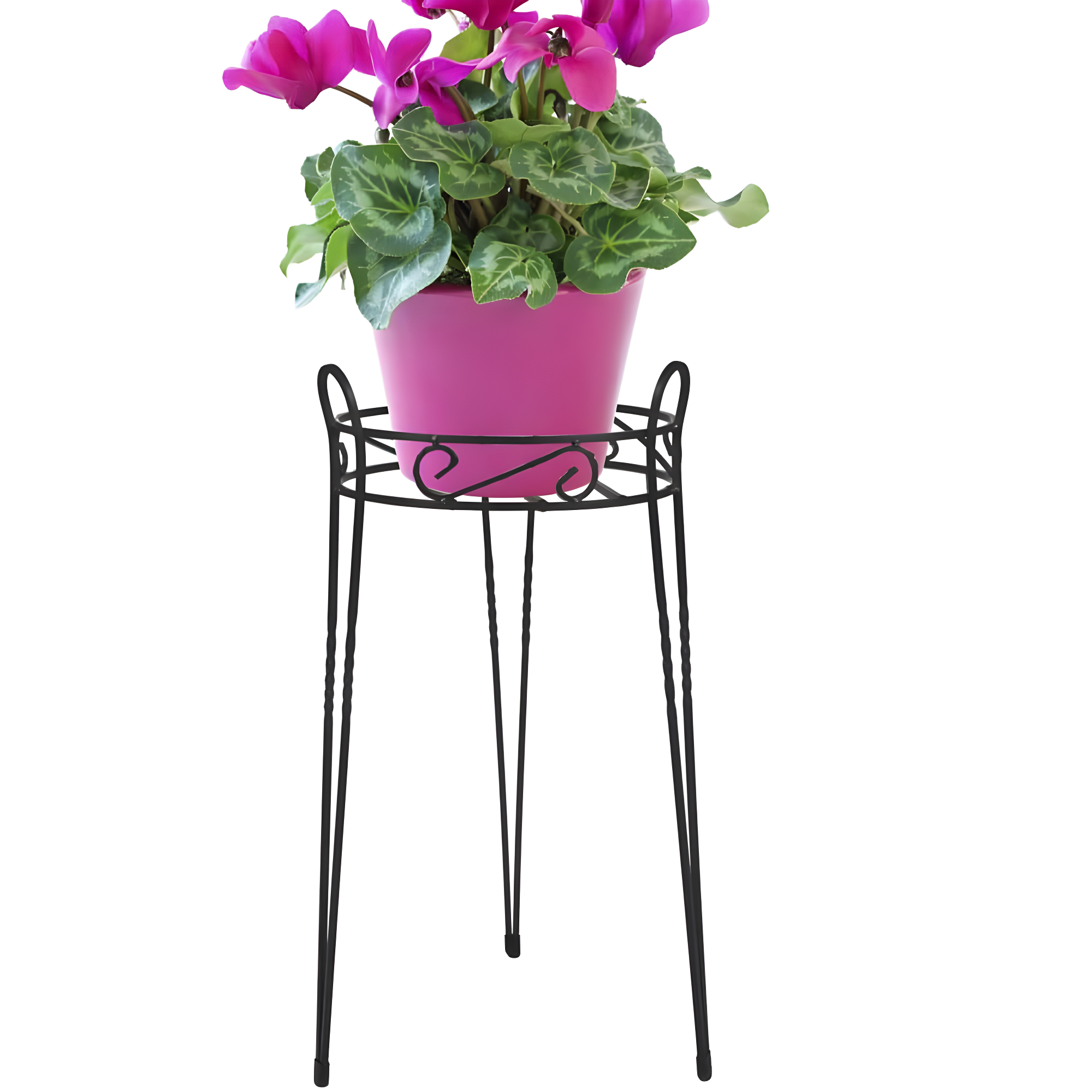 Elegant Canterbury Scroll 21" Black Steel Oval Plant Stand