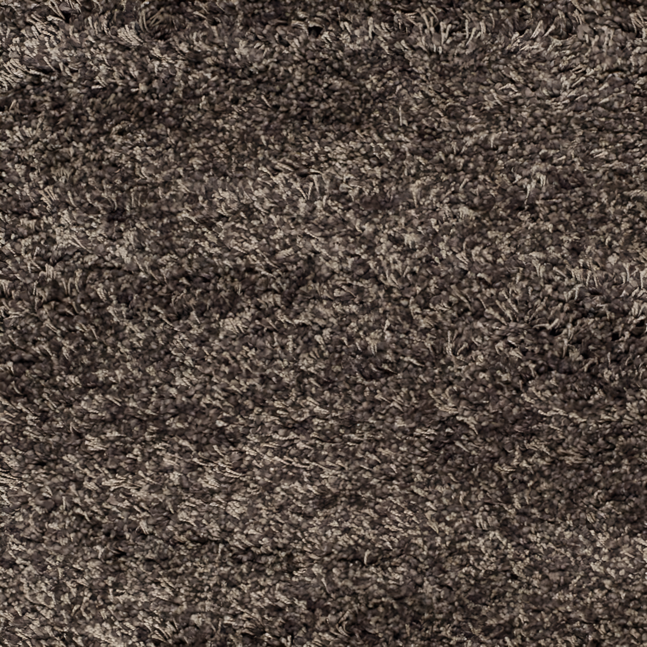 Shag SG151 Power Loomed Indoor Area Rug - Mushroom - 4'x6' - Safavieh.