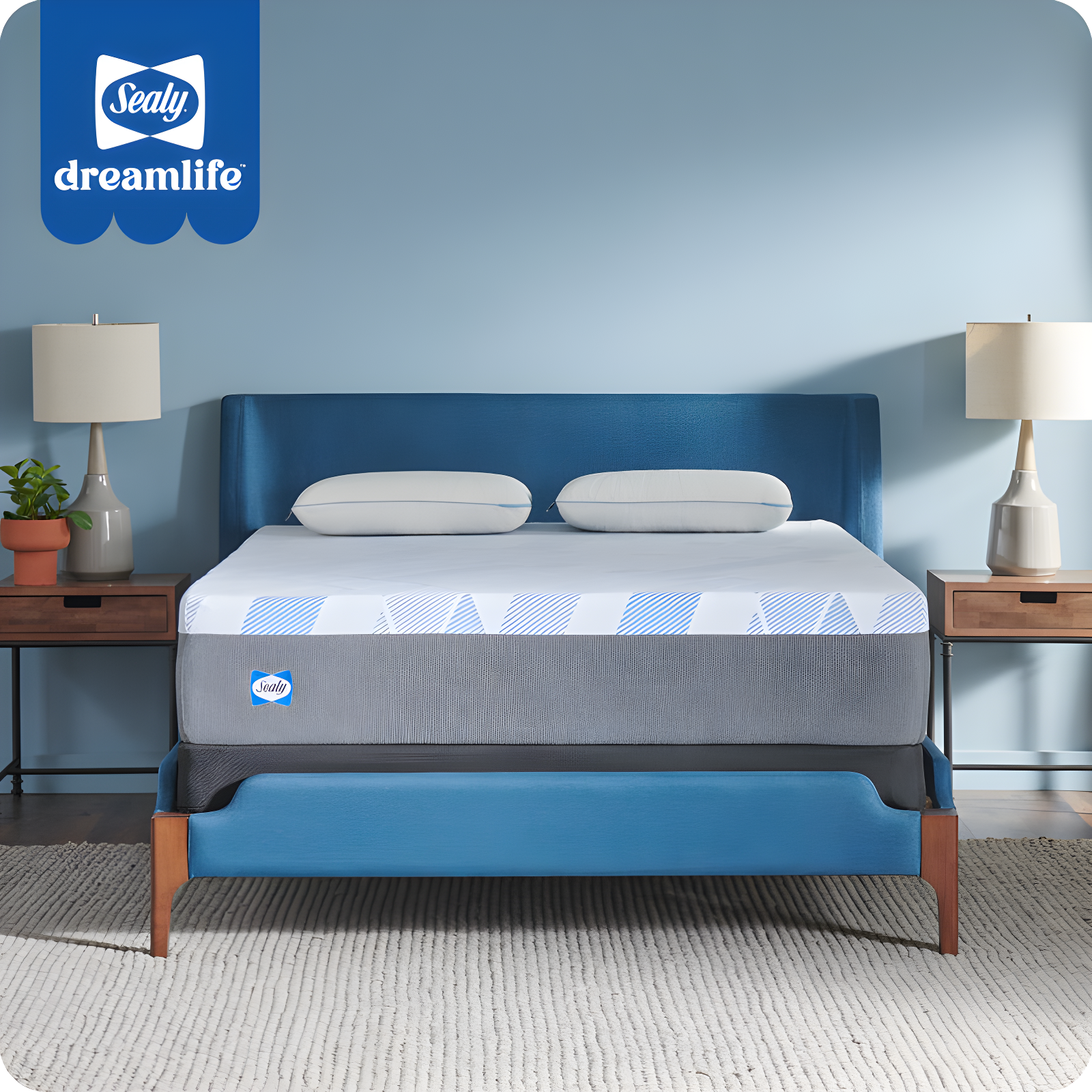Sealy Sealy Dreamlife 12” Medium Hybrid Mattress-in-a-Box