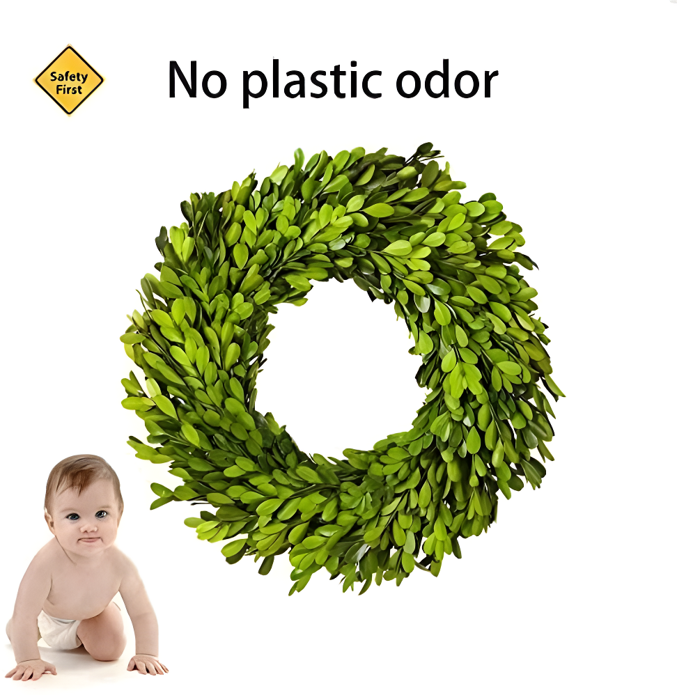 Alby Preserved Boxwood Real Greenery Wreath
